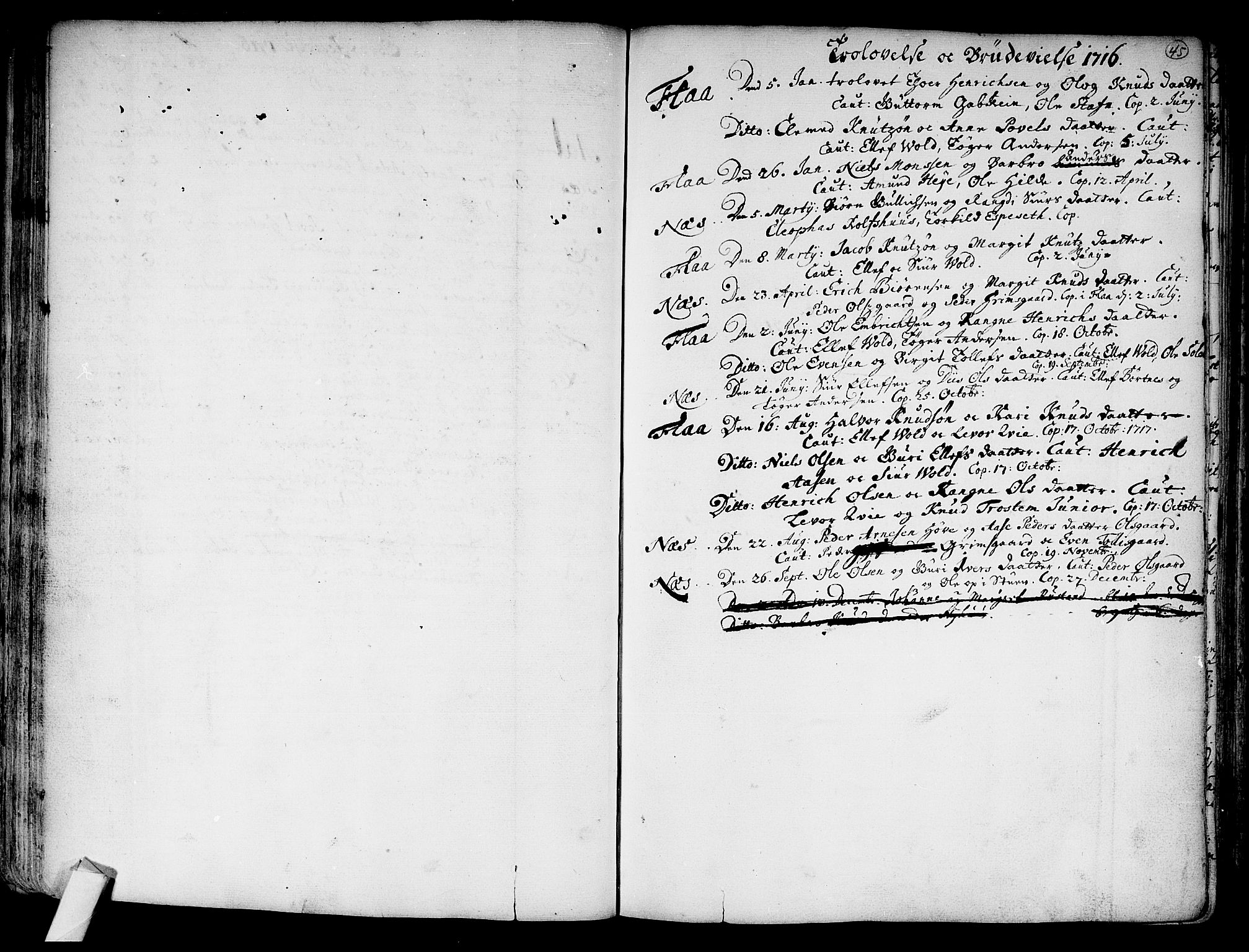 Nes kirkebøker, SAKO/A-236/F/Fa/L0002: Parish register (official) no. 2, 1707-1759, p. 45