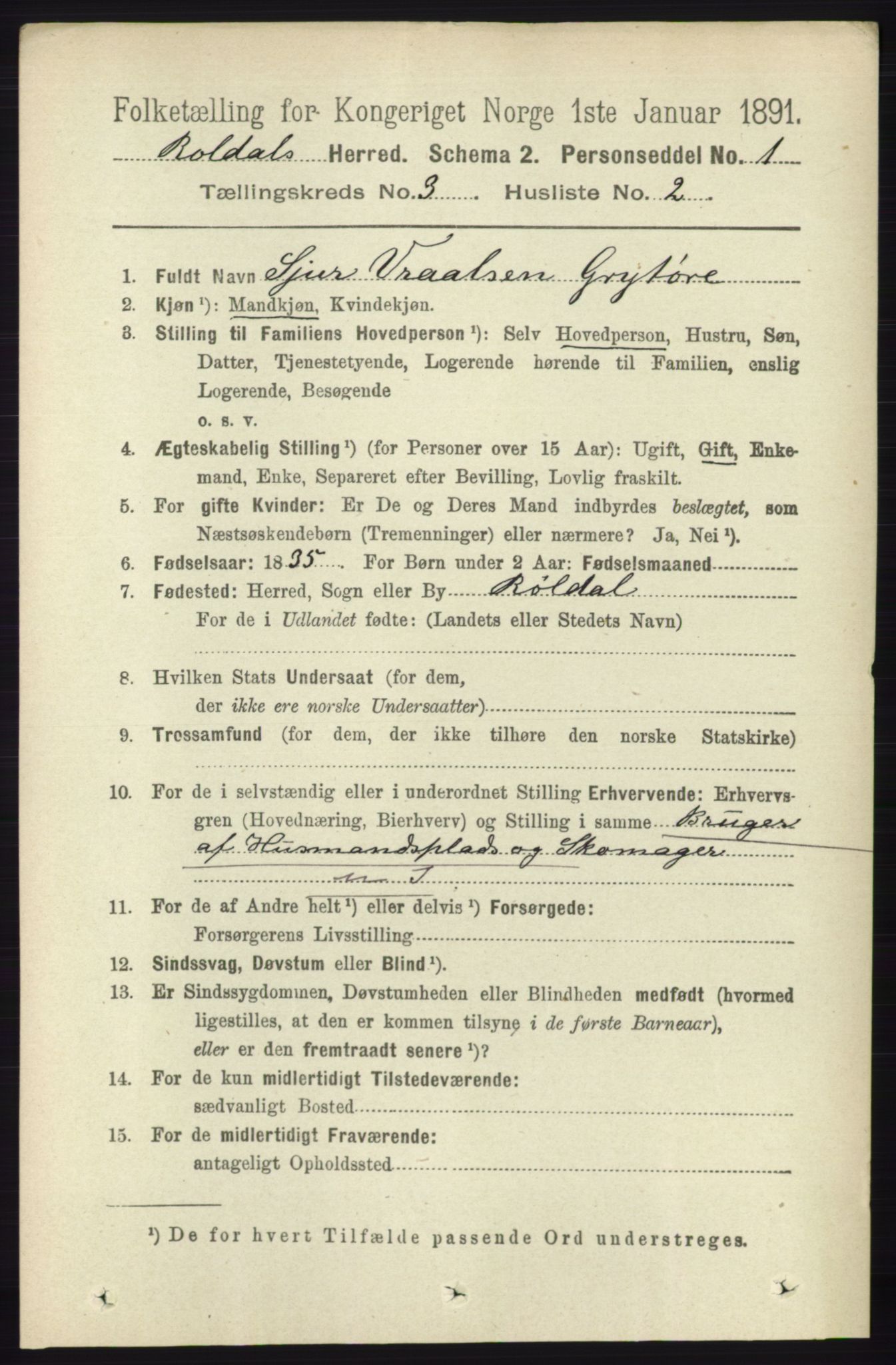 RA, 1891 census for 1229 Røldal, 1891, p. 904