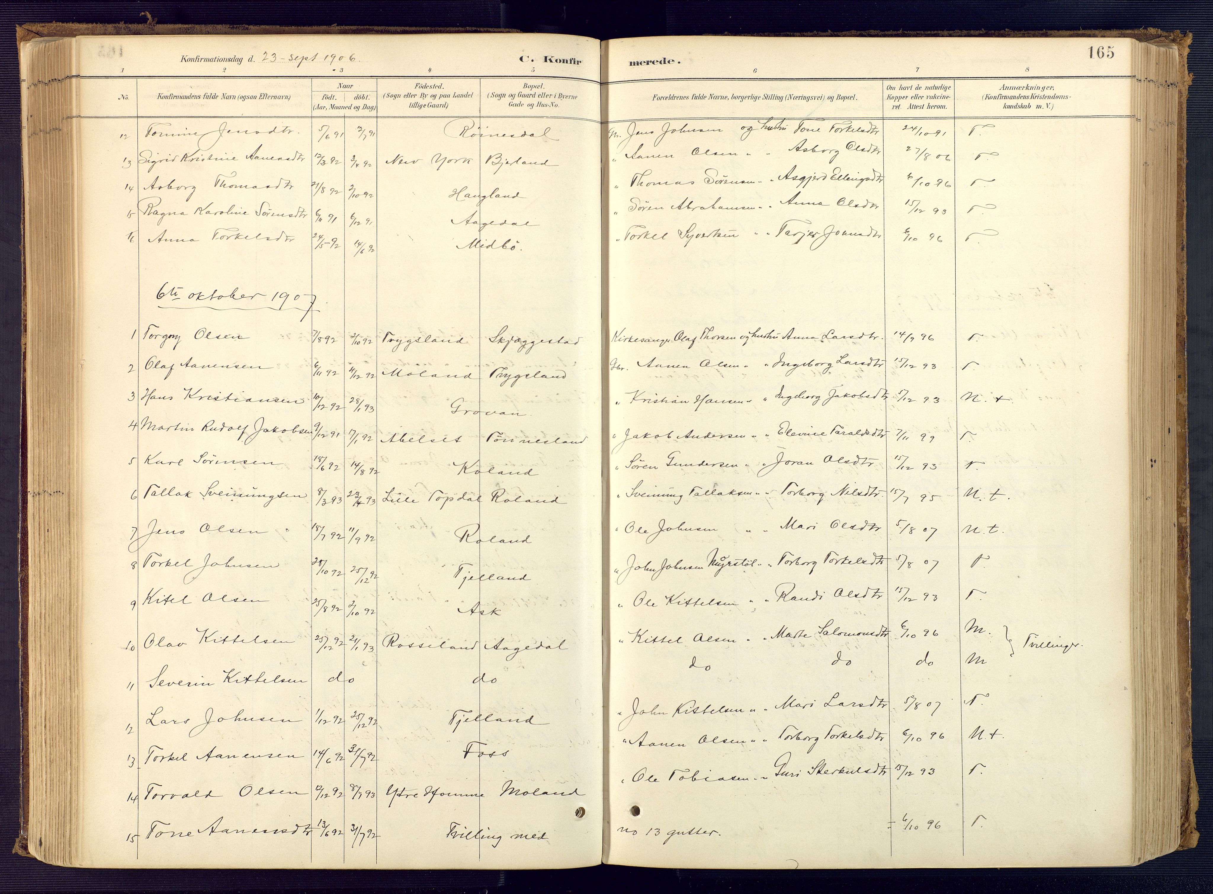 Bjelland sokneprestkontor, SAK/1111-0005/F/Fa/Faa/L0004: Parish register (official) no. A 4, 1887-1923, p. 165