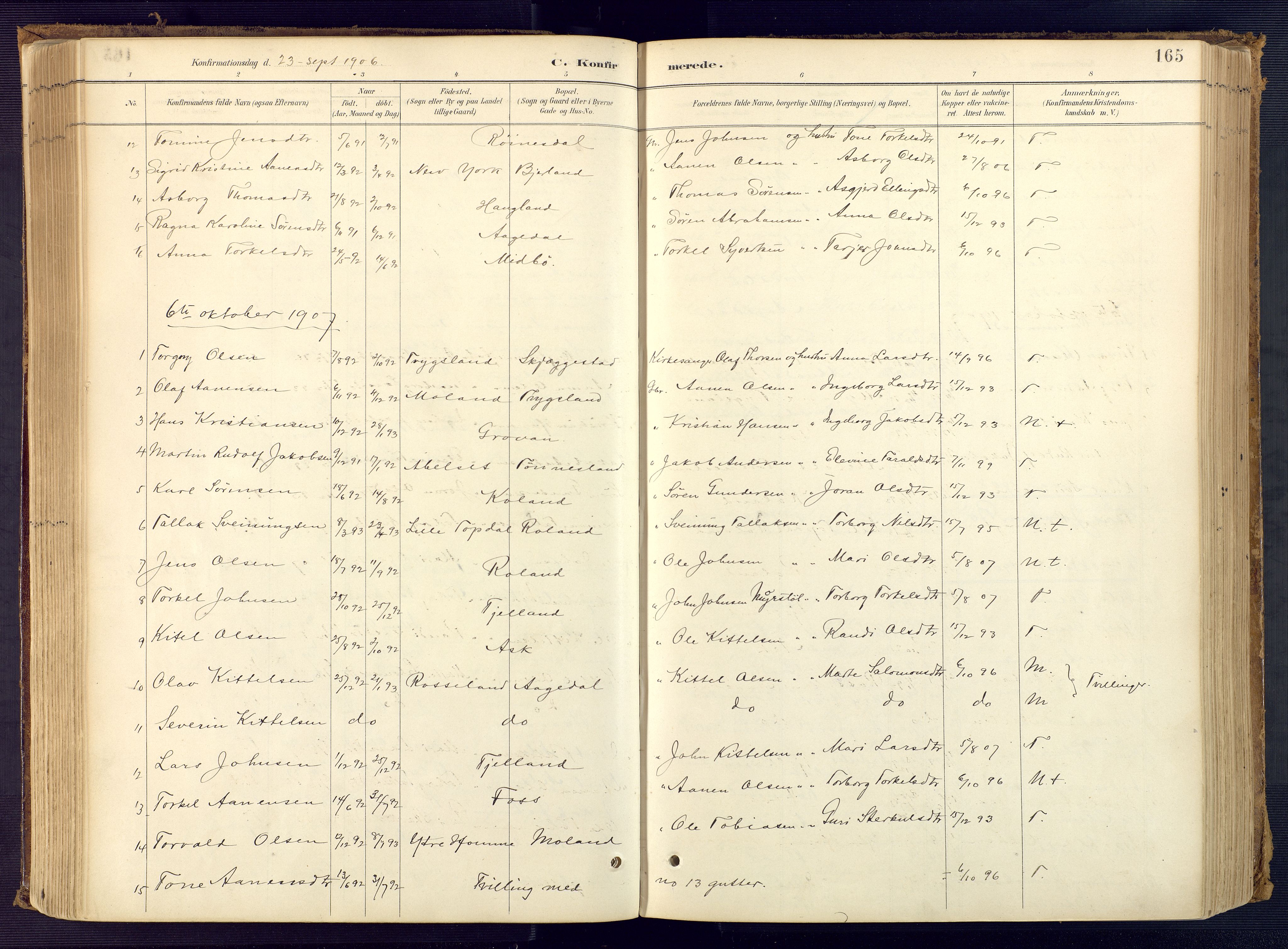 Bjelland sokneprestkontor, AV/SAK-1111-0005/F/Fa/Faa/L0004: Parish register (official) no. A 4, 1887-1923, p. 165