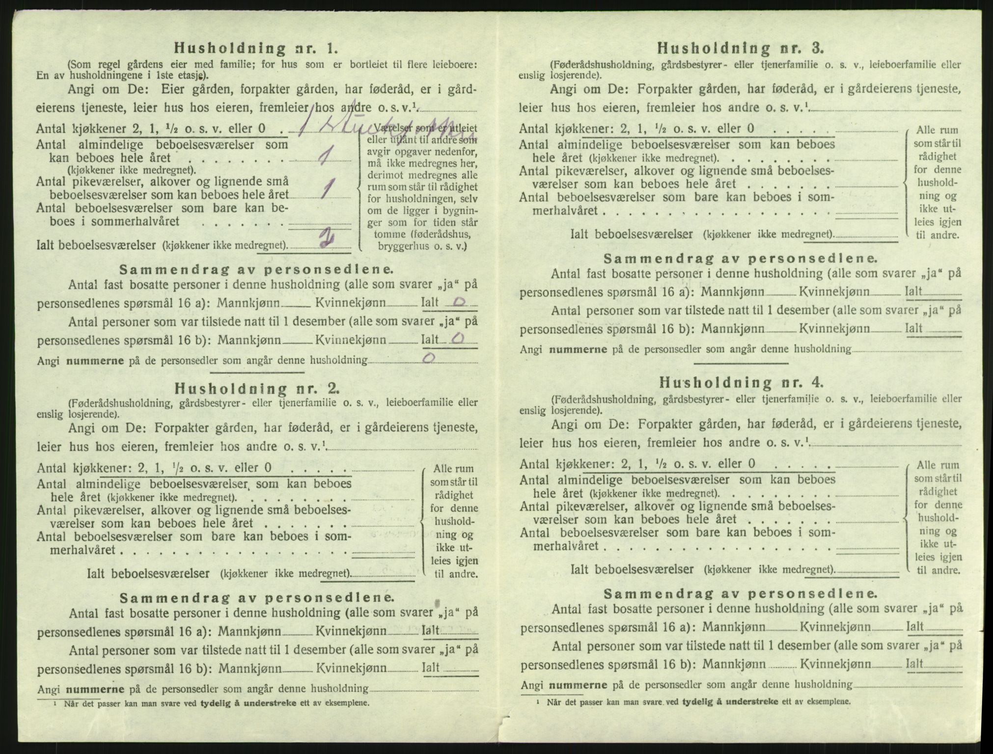 SAH, 1920 census for Heidal, 1920, p. 493