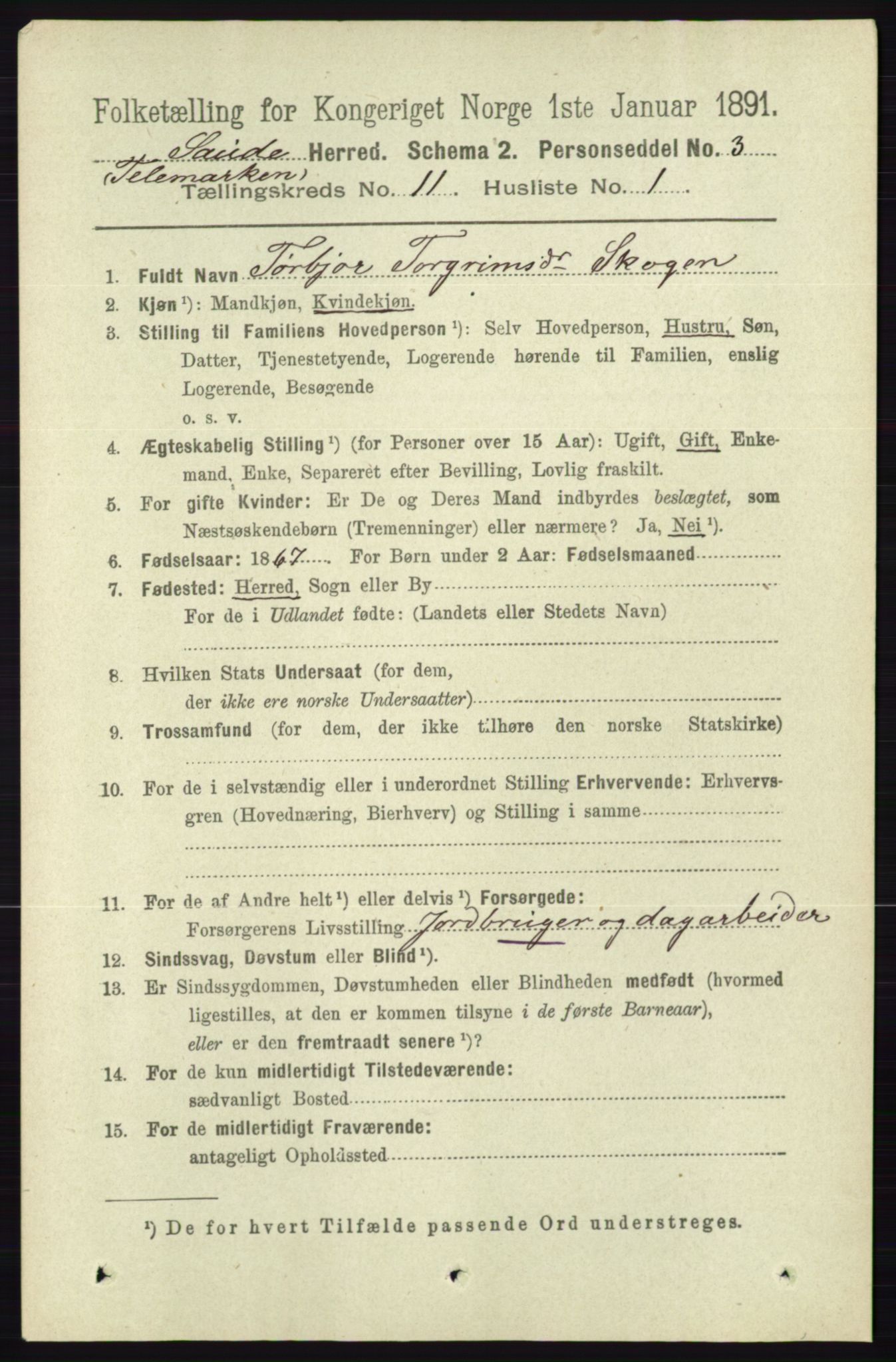 RA, 1891 census for 0822 Sauherad, 1891, p. 3379