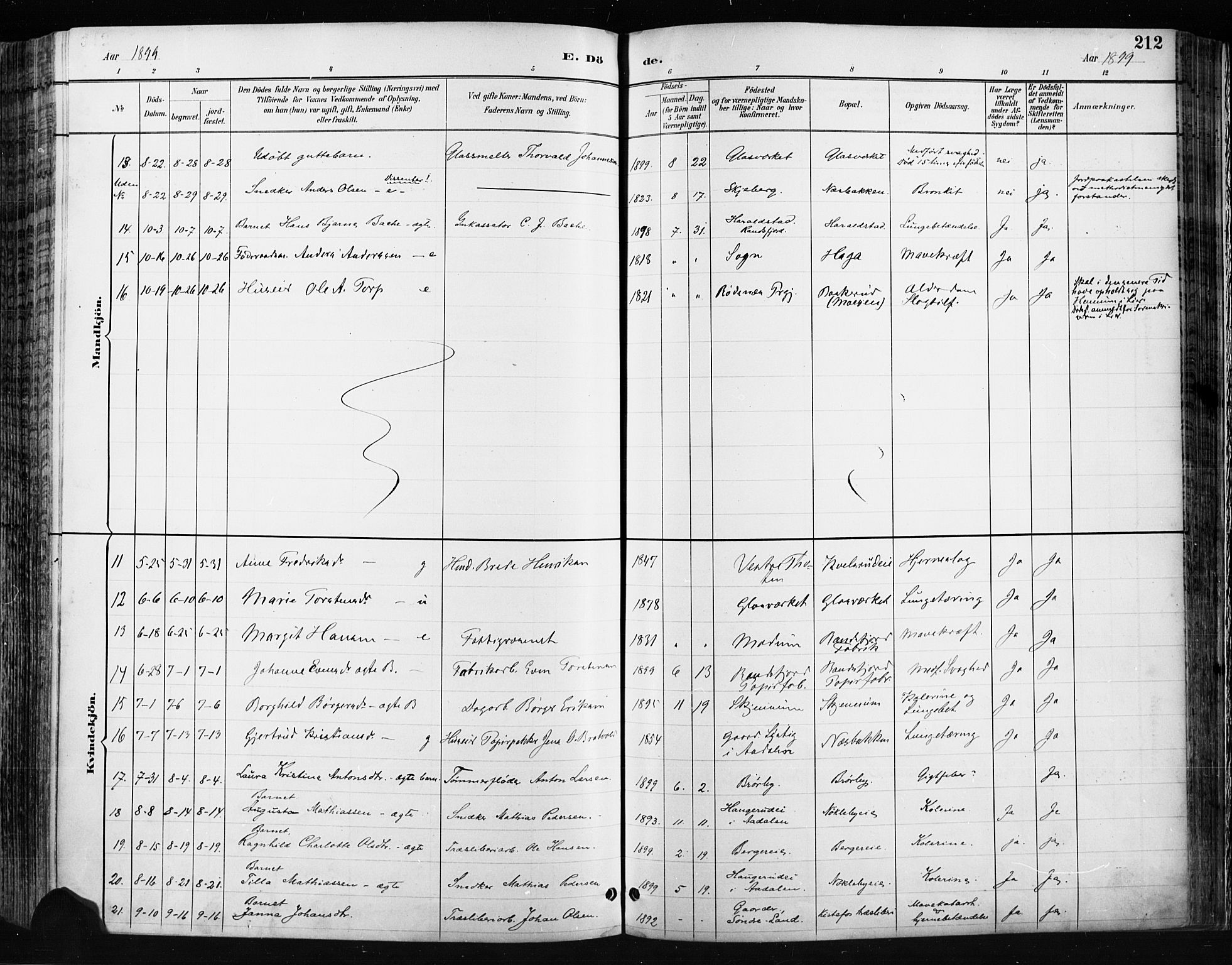 Jevnaker prestekontor, AV/SAH-PREST-116/H/Ha/Haa/L0009: Parish register (official) no. 9, 1891-1901, p. 212