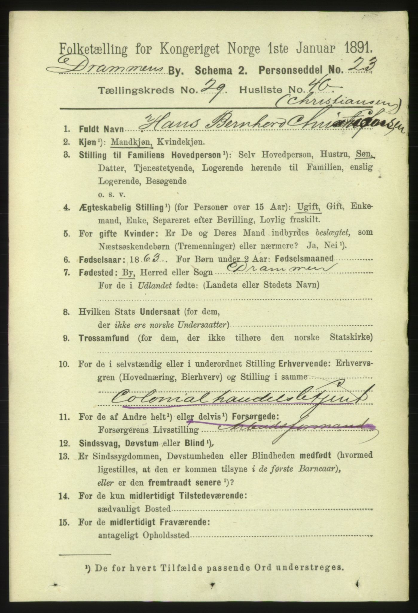 RA, 1891 census for 0602 Drammen, 1891, p. 18066