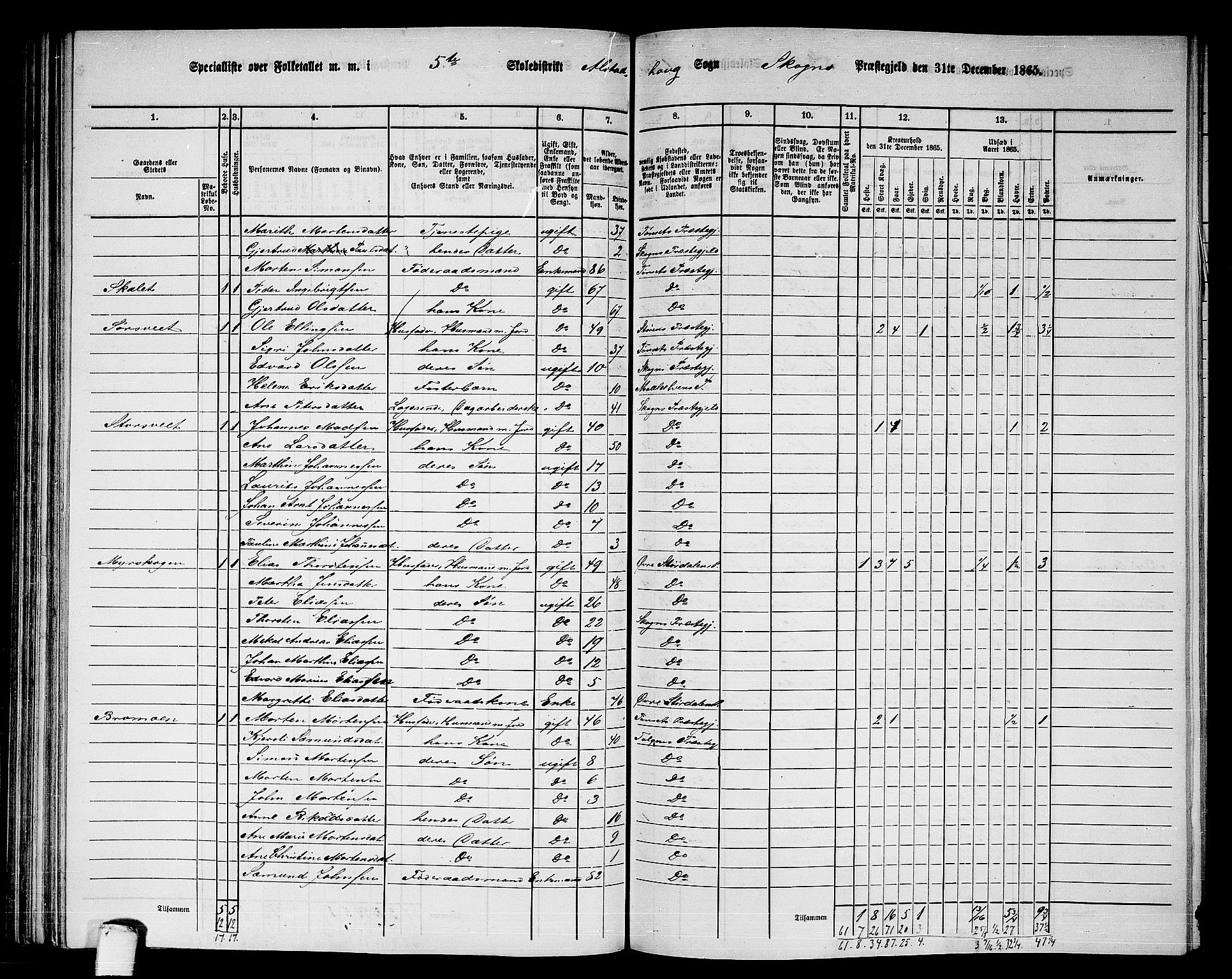 RA, 1865 census for Skogn, 1865, p. 132