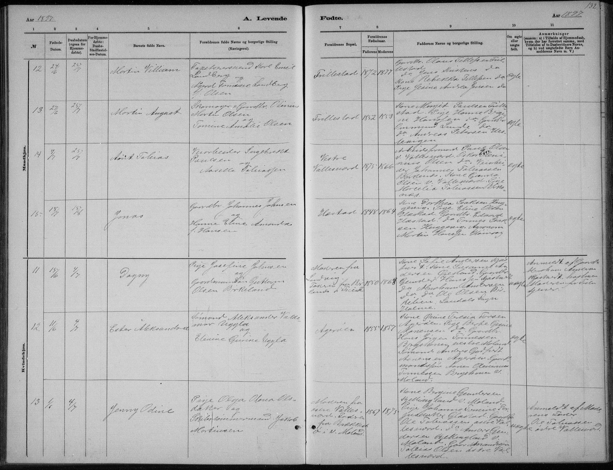 Høvåg sokneprestkontor, AV/SAK-1111-0025/F/Fb/L0004: Parish register (copy) no. B 4, 1883-1898, p. 132