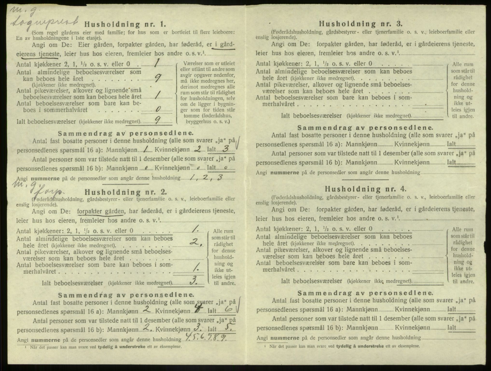 SAB, 1920 census for Hafslo, 1920, p. 299