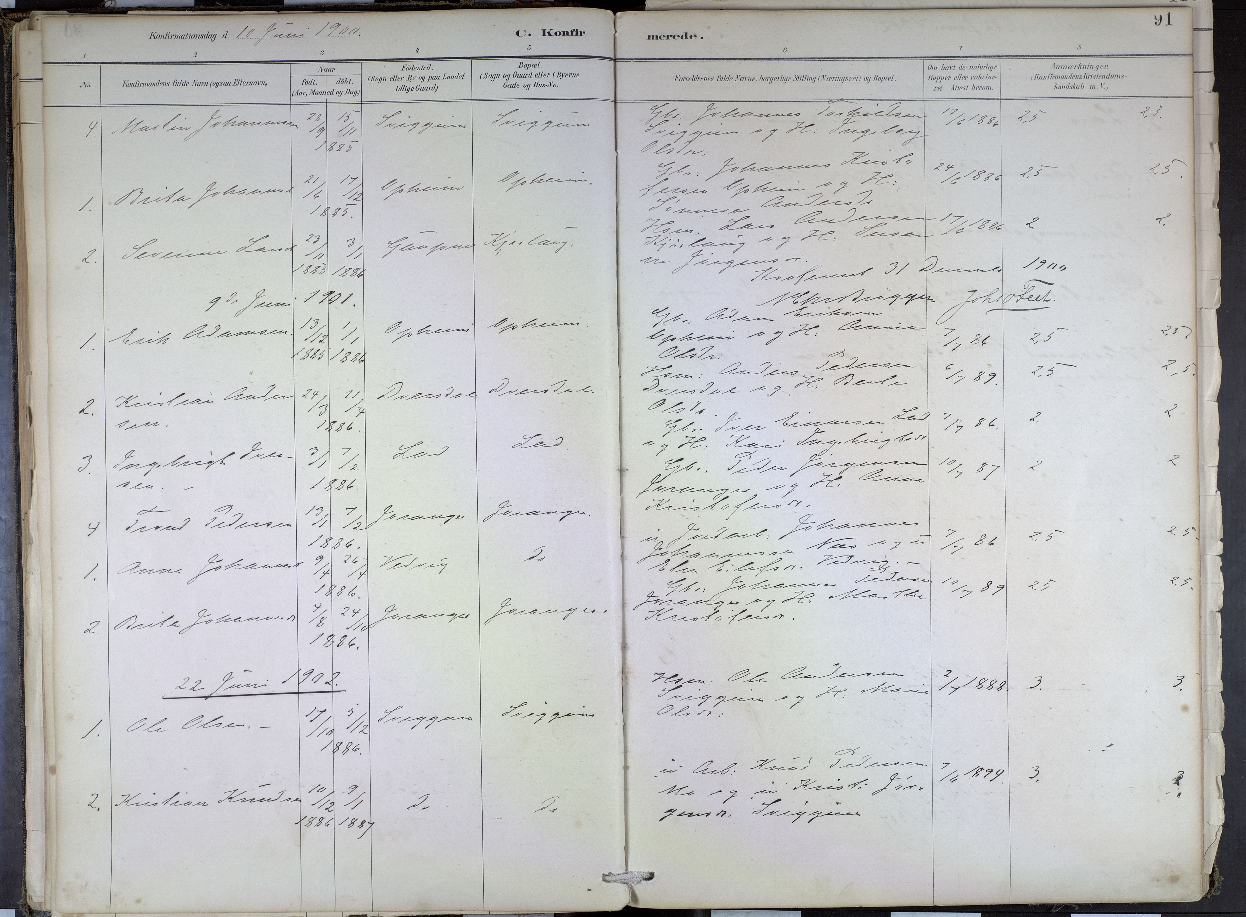 Hafslo sokneprestembete, SAB/A-80301/H/Haa/Haae/L0001: Parish register (official) no. E 1, 1886-1934, p. 91