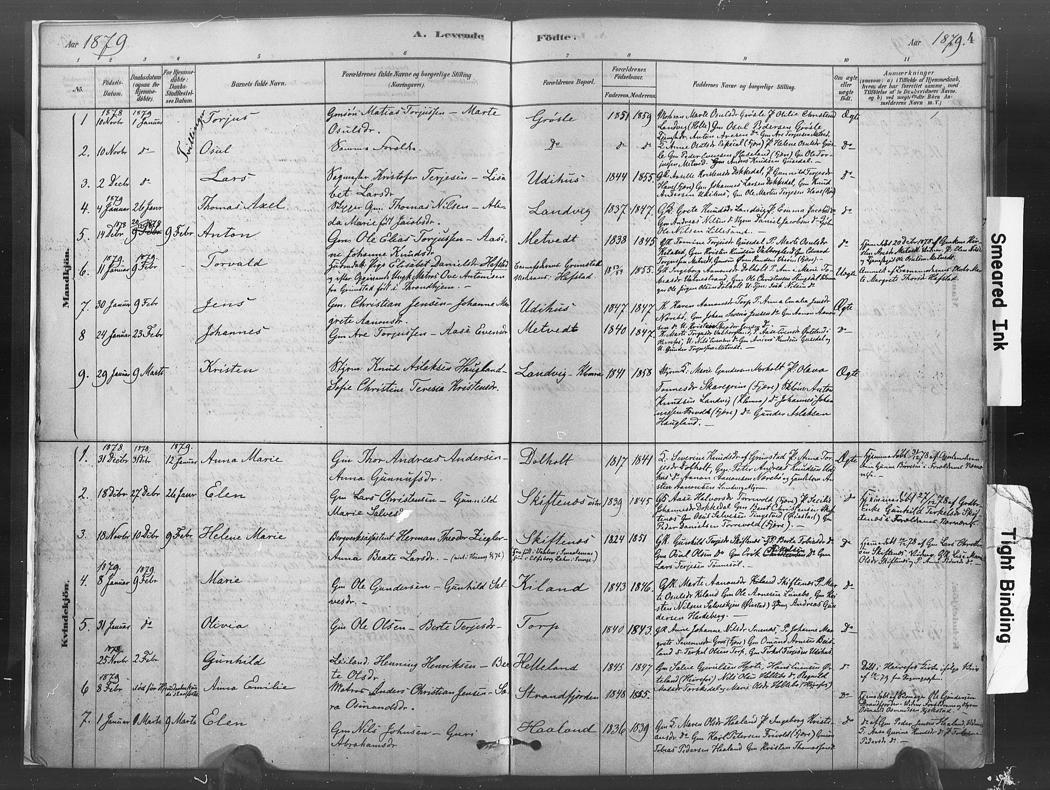 Hommedal sokneprestkontor, SAK/1111-0023/F/Fa/Fab/L0006: Parish register (official) no. A 6, 1878-1897, p. 4