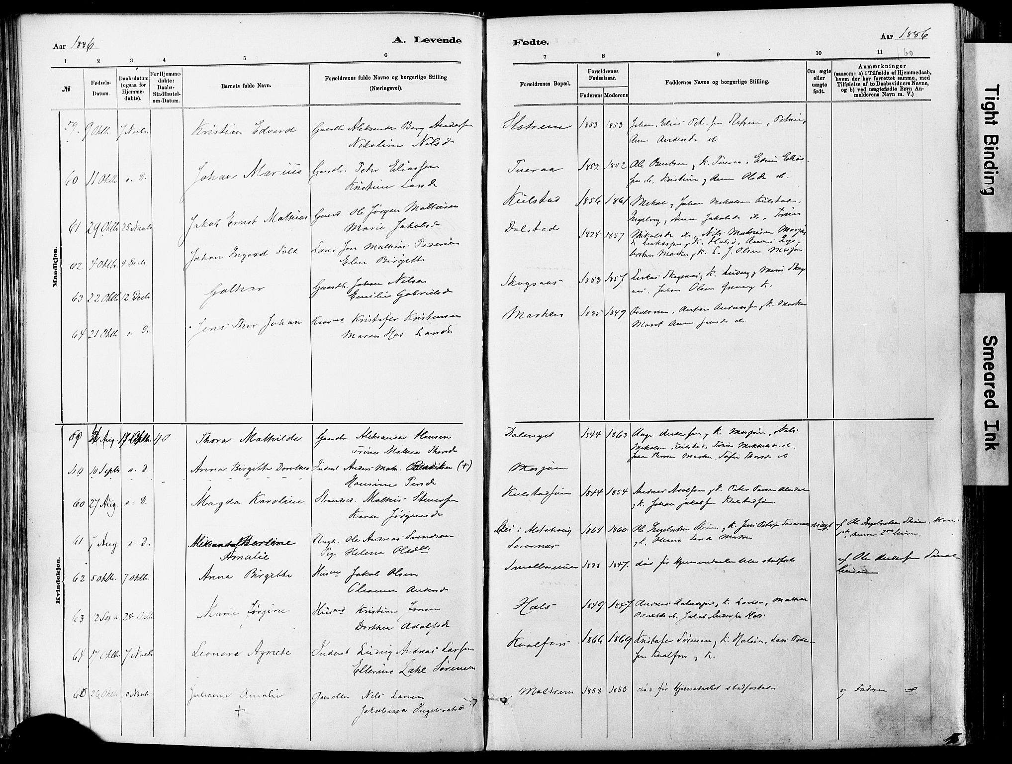 Ministerialprotokoller, klokkerbøker og fødselsregistre - Nordland, AV/SAT-A-1459/820/L0295: Parish register (official) no. 820A16, 1880-1896, p. 60