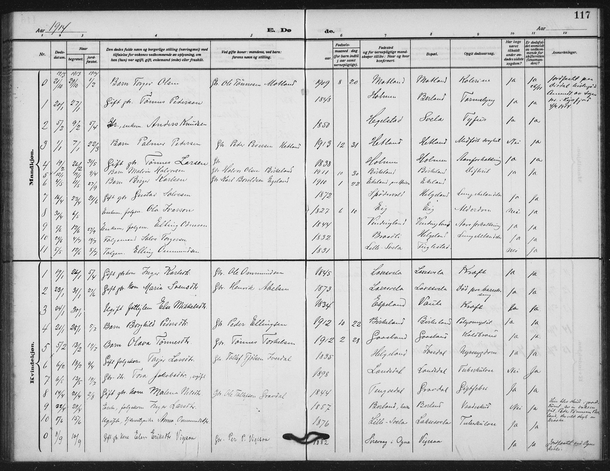 Helleland sokneprestkontor, SAST/A-101810: Parish register (official) no. A 11, 1909-1922, p. 117