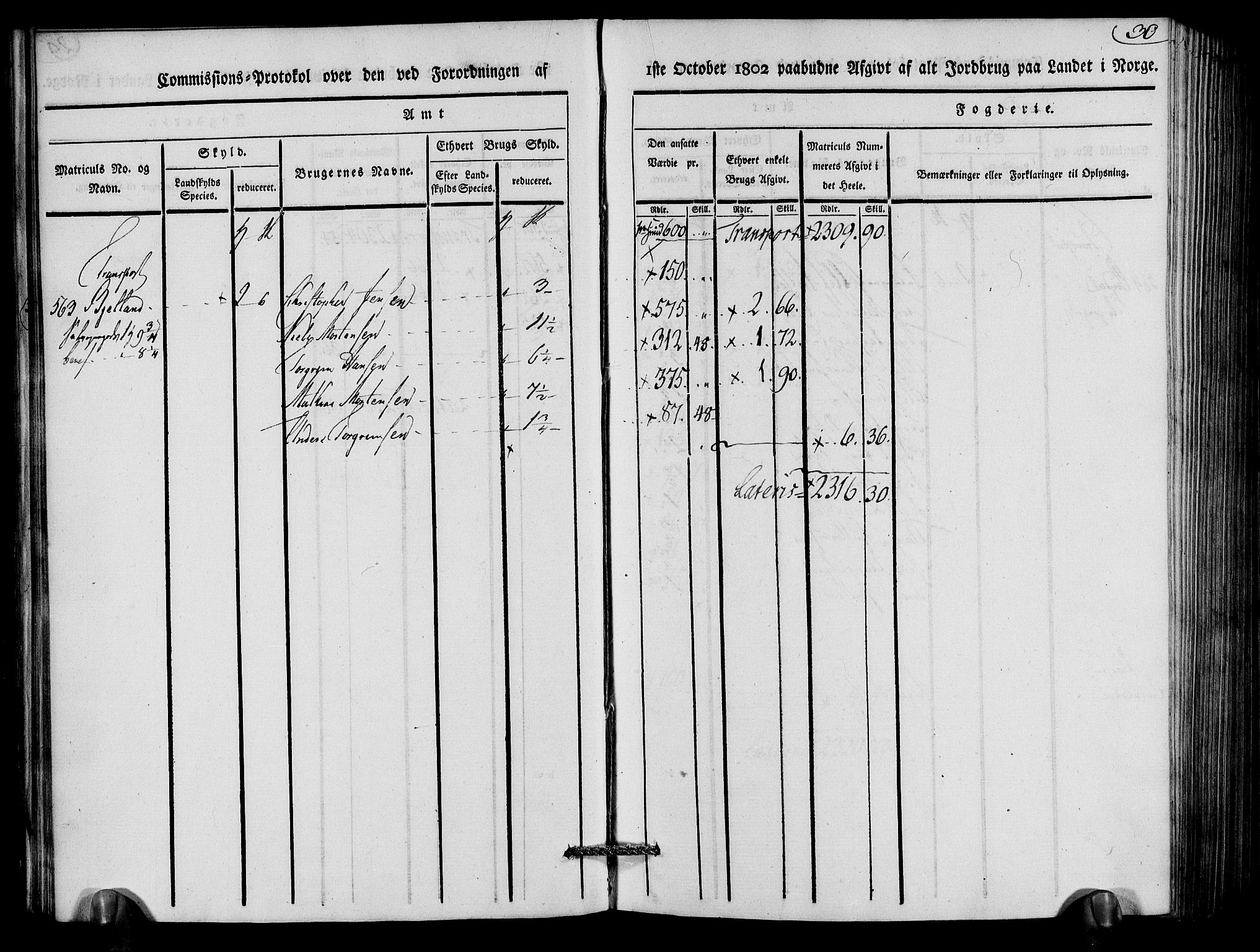 Rentekammeret inntil 1814, Realistisk ordnet avdeling, AV/RA-EA-4070/N/Ne/Nea/L0079: Nedenes fogderi. Kommisjonsprotokoll "Nr. 2", for Strengereid skipreide, 1803, p. 31