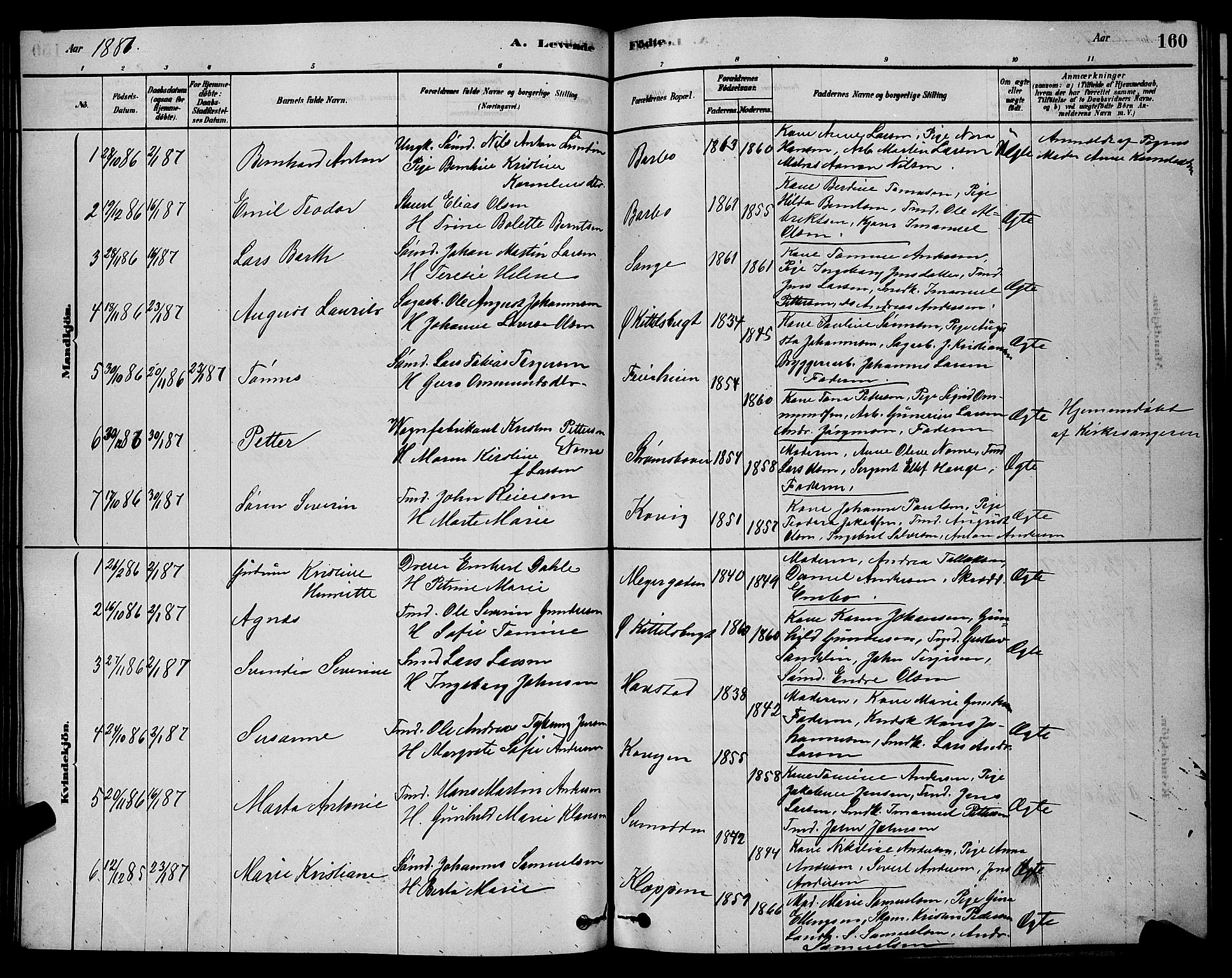 Barbu sokneprestkontor, AV/SAK-1111-0003/F/Fb/L0001: Parish register (copy) no. B 1, 1878-1890, p. 160