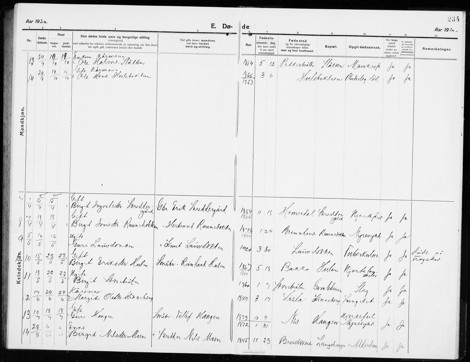 Gol kirkebøker, SAKO/A-226/G/Ga/L0004: Parish register (copy) no. I 4, 1915-1943, p. 234