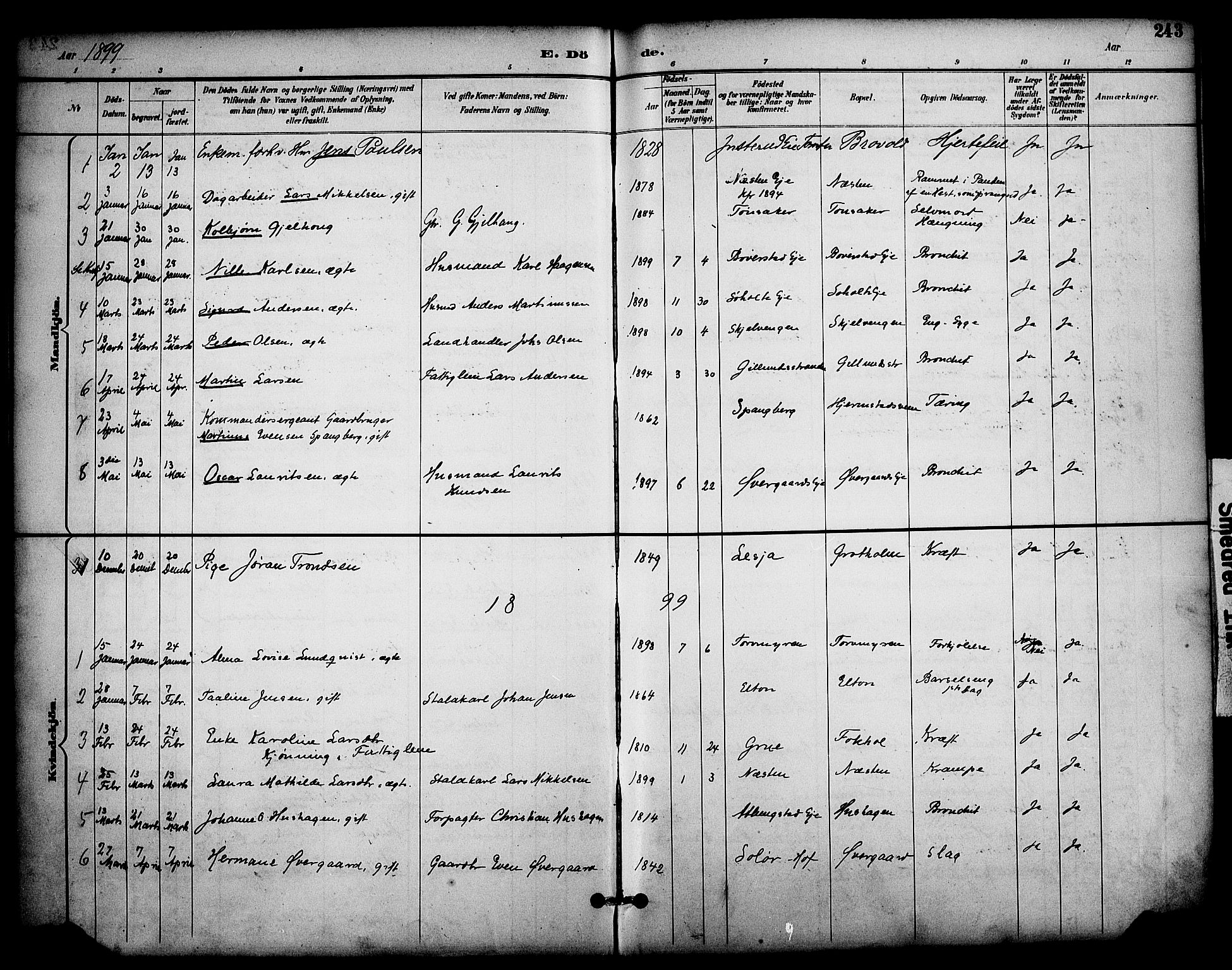 Stange prestekontor, SAH/PREST-002/K/L0020: Parish register (official) no. 20, 1894-1905, p. 243