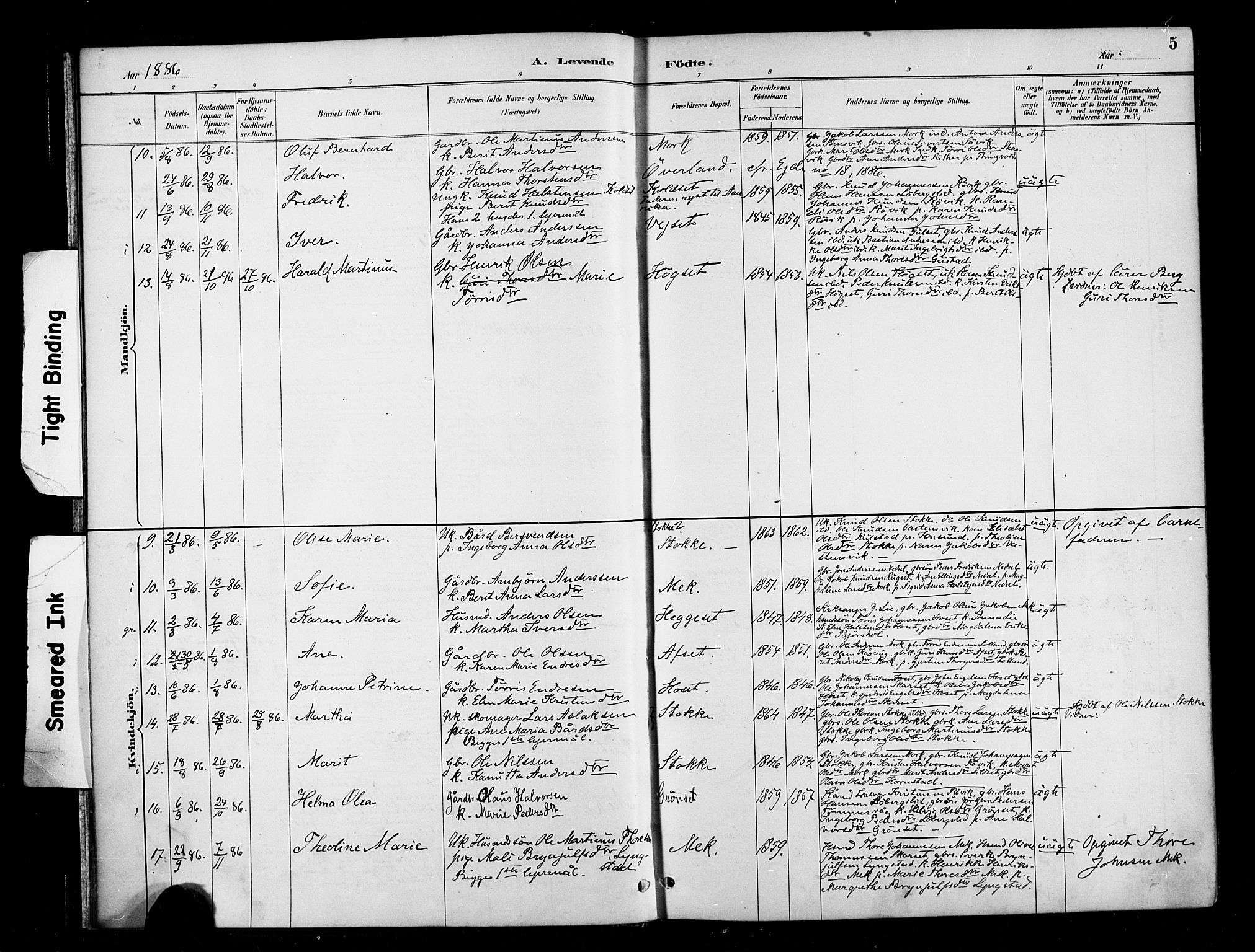 Ministerialprotokoller, klokkerbøker og fødselsregistre - Møre og Romsdal, SAT/A-1454/568/L0809: Parish register (official) no. 568A13, 1884-1900, p. 5
