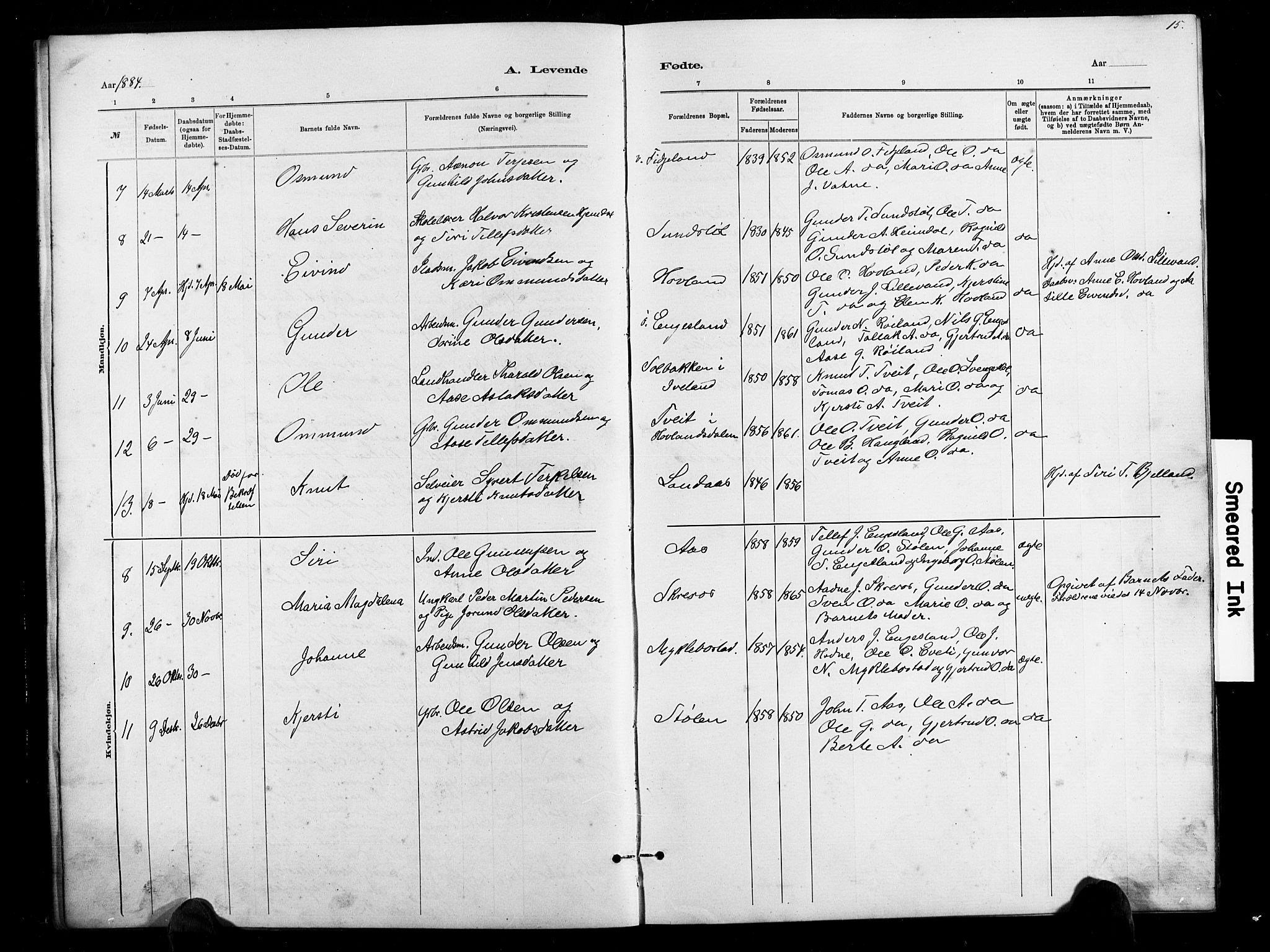 Herefoss sokneprestkontor, AV/SAK-1111-0019/F/Fb/Fbb/L0002: Parish register (copy) no. B 2, 1879-1894, p. 15