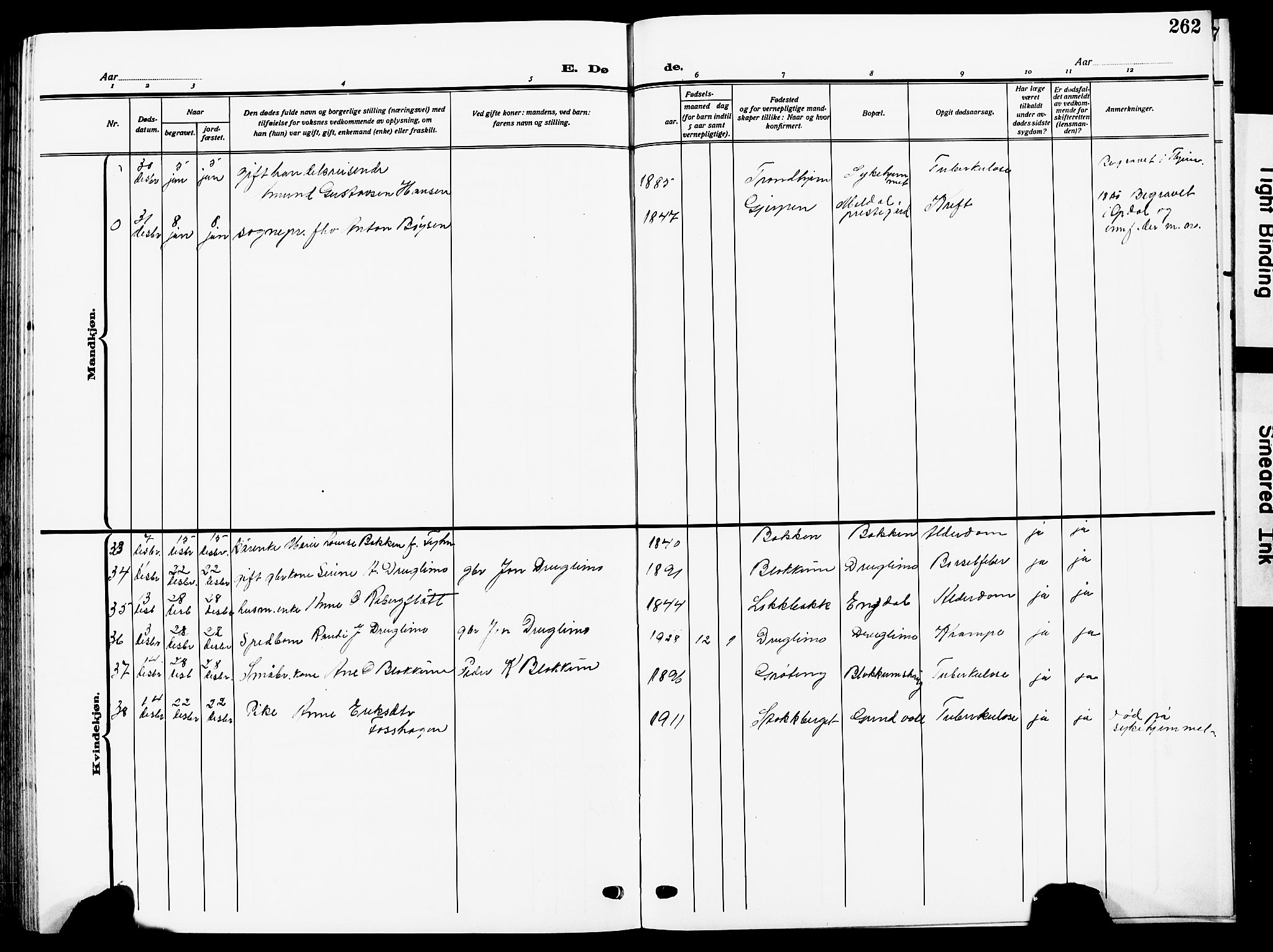 Ministerialprotokoller, klokkerbøker og fødselsregistre - Sør-Trøndelag, SAT/A-1456/672/L0865: Parish register (copy) no. 672C04, 1914-1928, p. 262