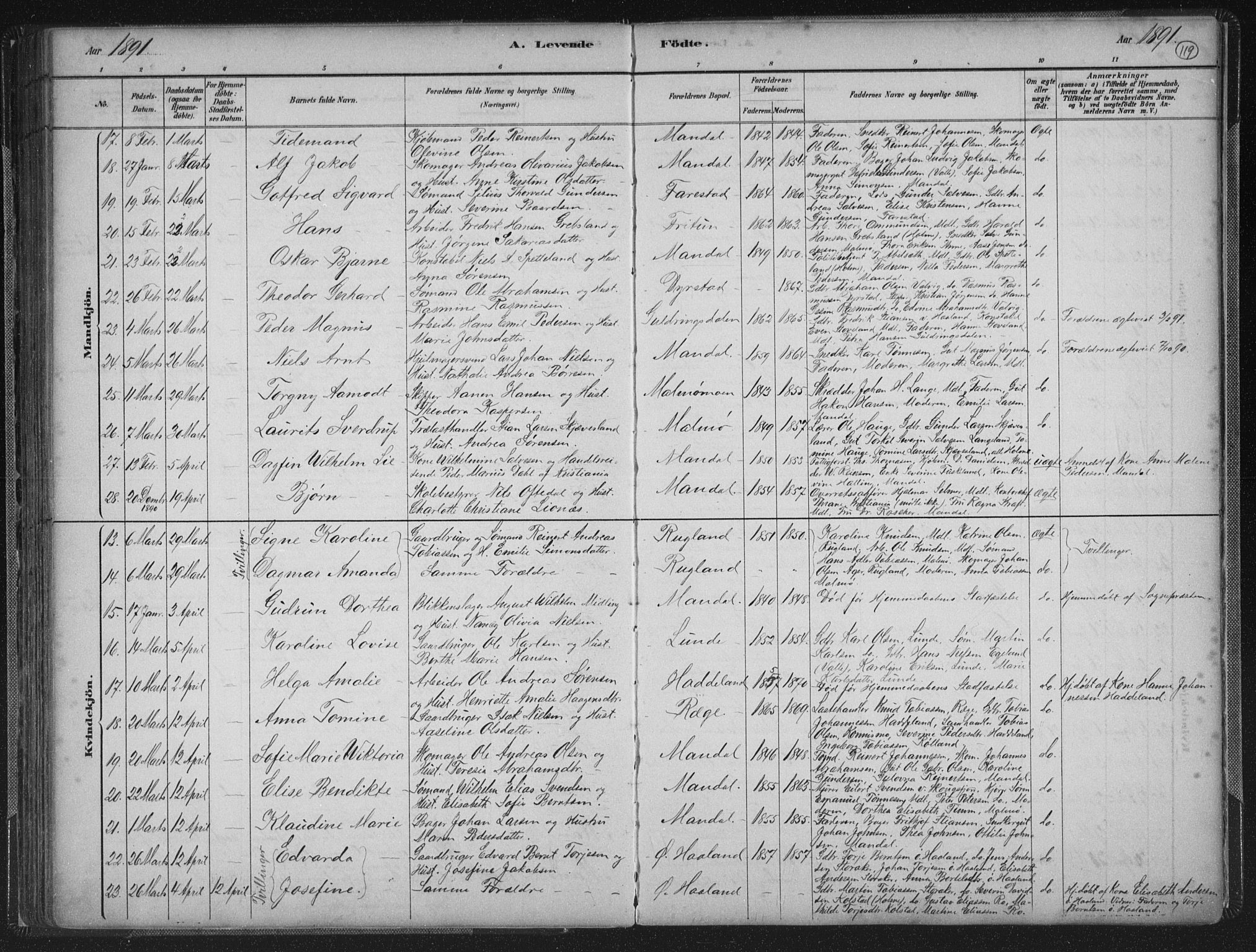 Mandal sokneprestkontor, AV/SAK-1111-0030/F/Fb/Fba/L0011: Parish register (copy) no. B 5, 1880-1898, p. 119