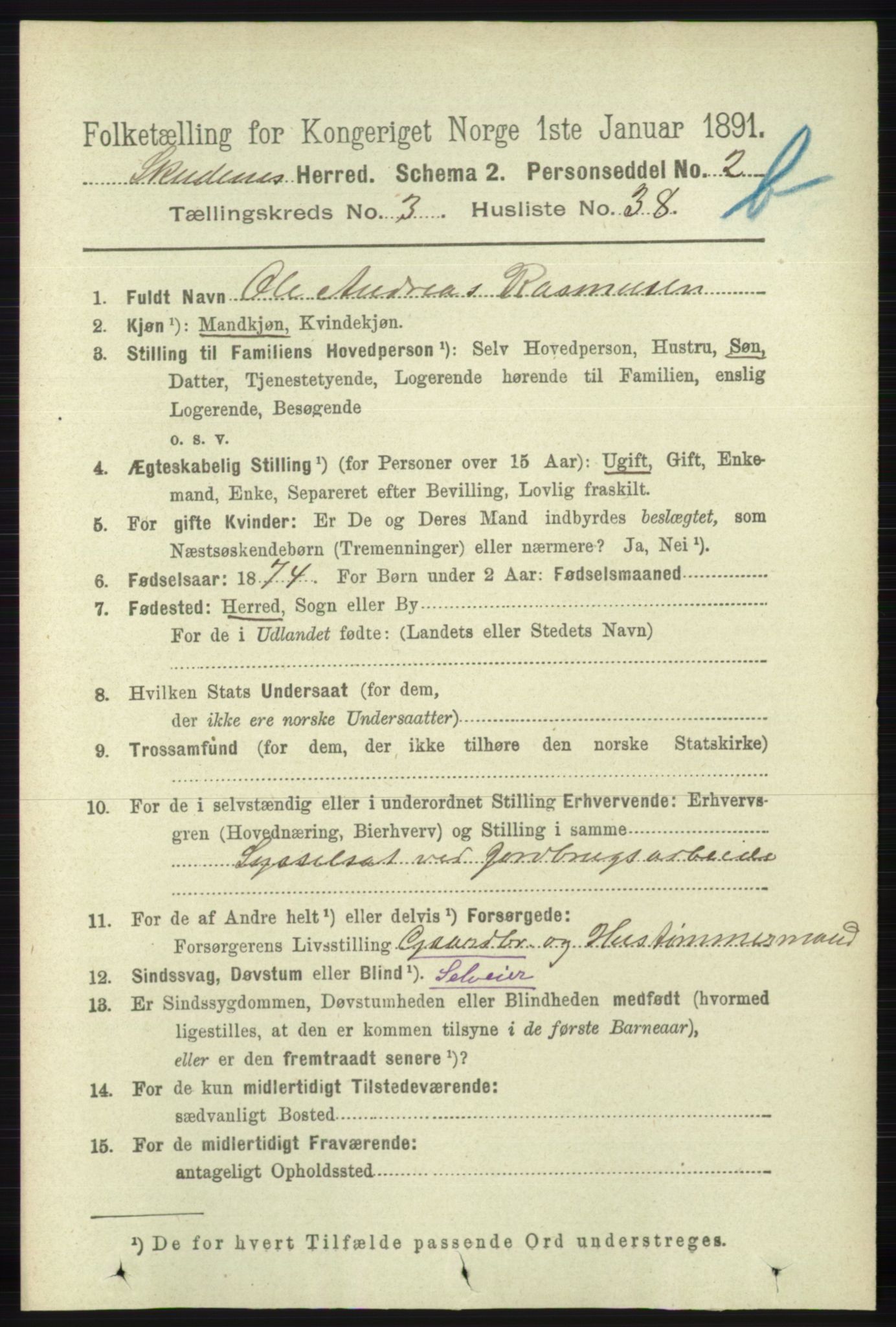 RA, 1891 census for 1150 Skudenes, 1891, p. 4194