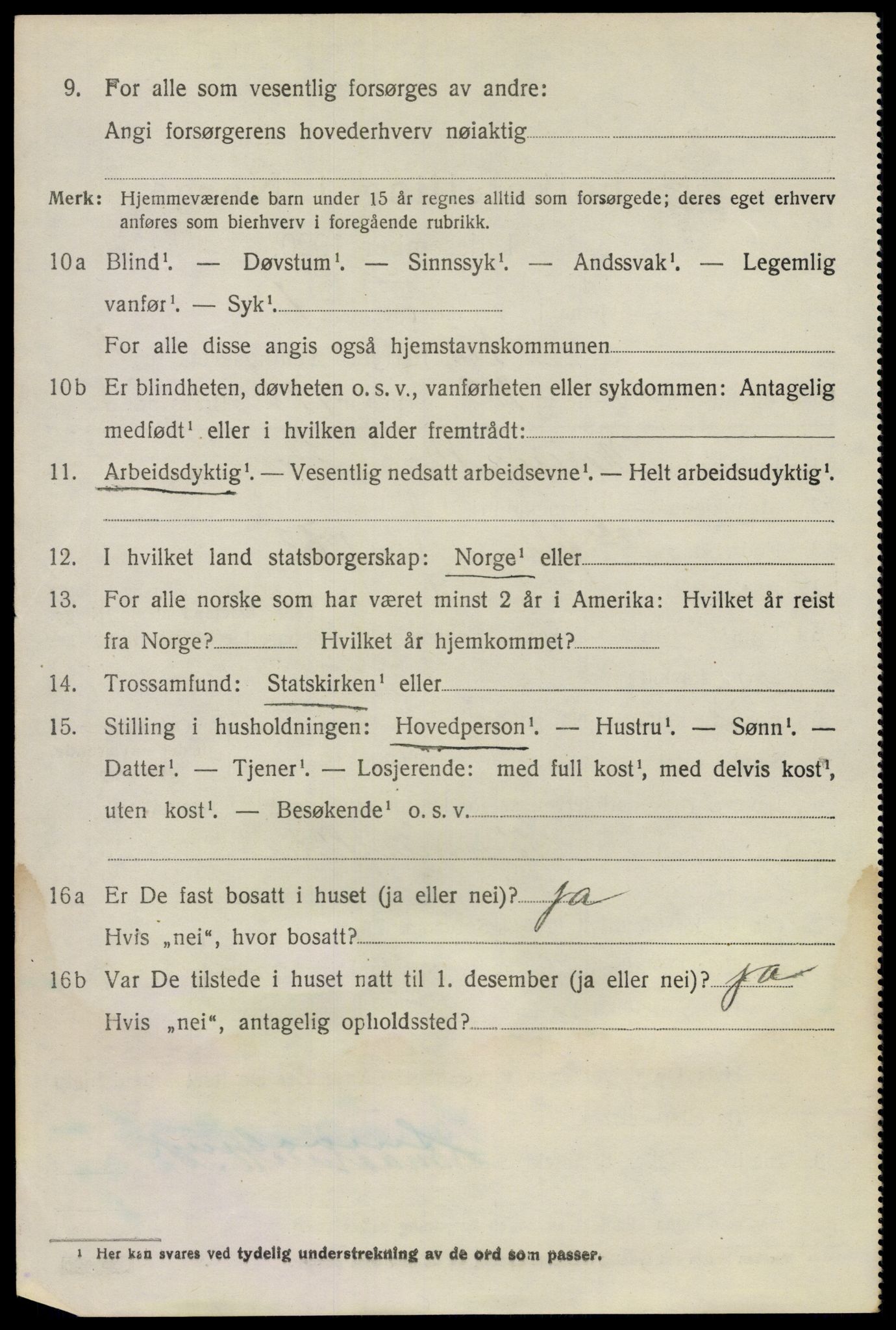 SAO, 1920 census for Nes, 1920, p. 19101