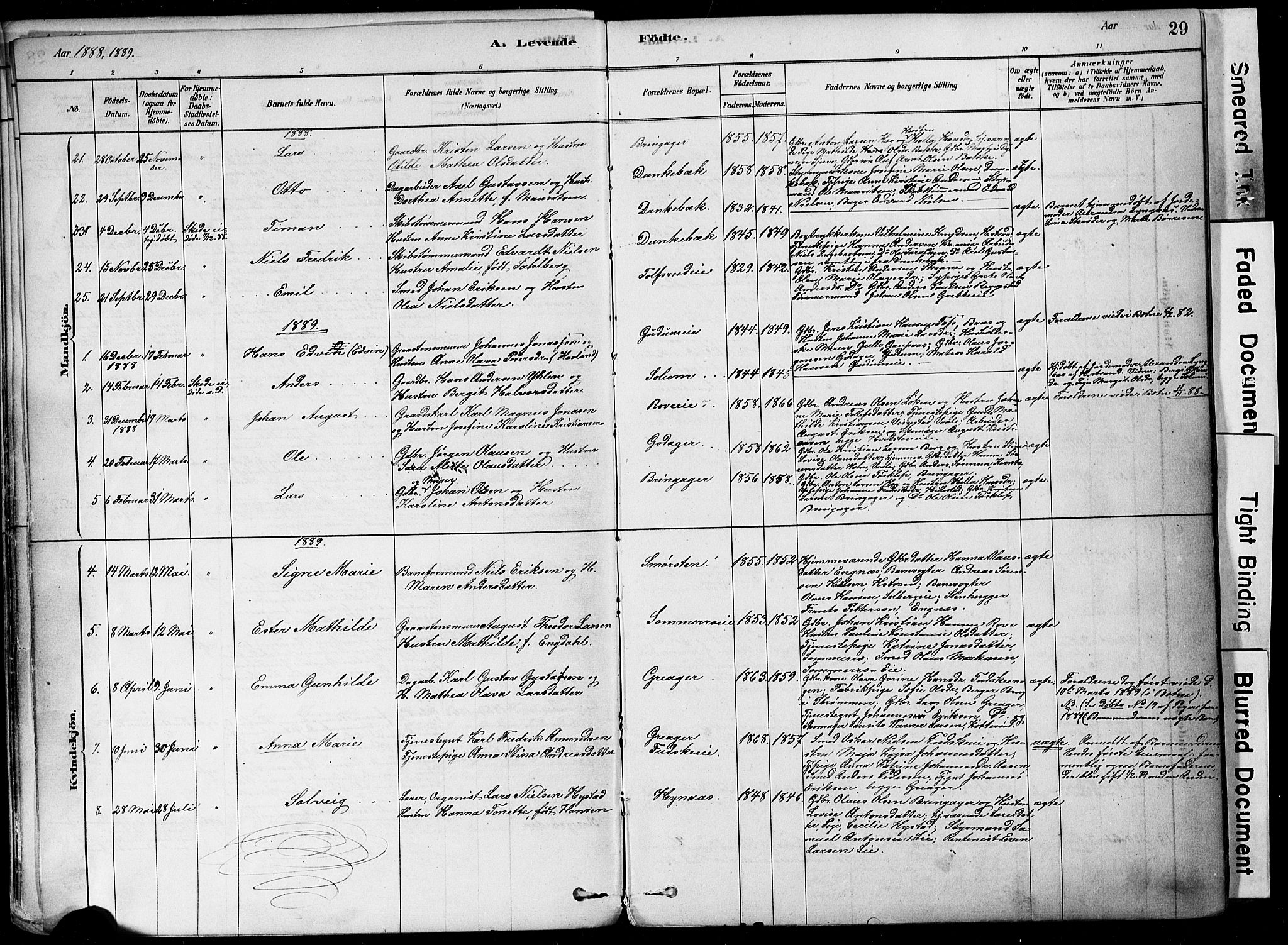 Botne kirkebøker, AV/SAKO-A-340/F/Fa/L0007: Parish register (official) no. I 7, 1878-1910, p. 29