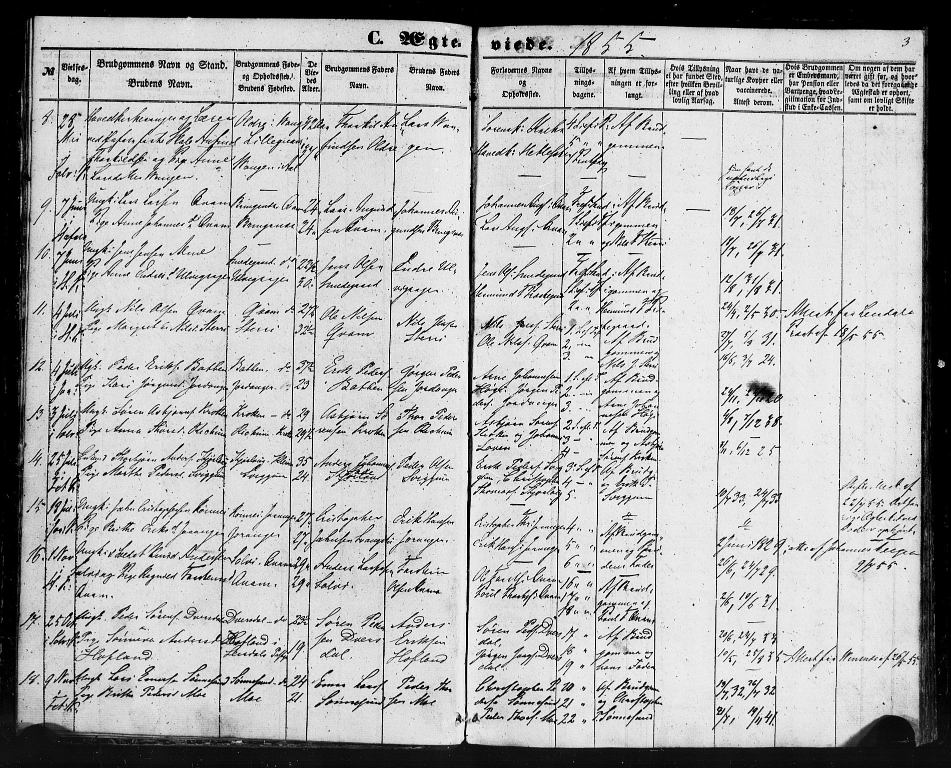 Hafslo sokneprestembete, SAB/A-80301/H/Haa/Haaa/L0013: Parish register (official) no. A 13, 1854-1879, p. 3