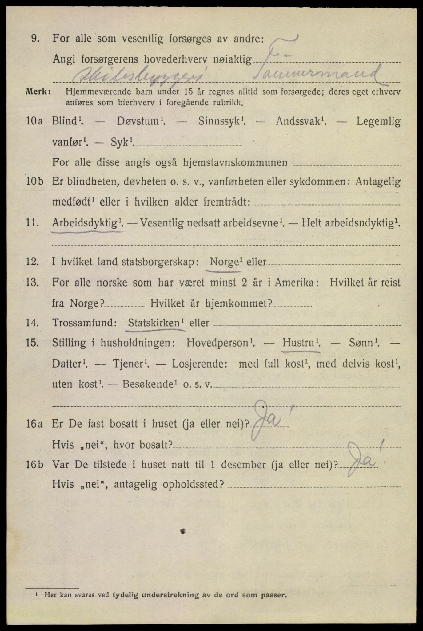 SAKO, 1920 census for Kragerø, 1920, p. 12018