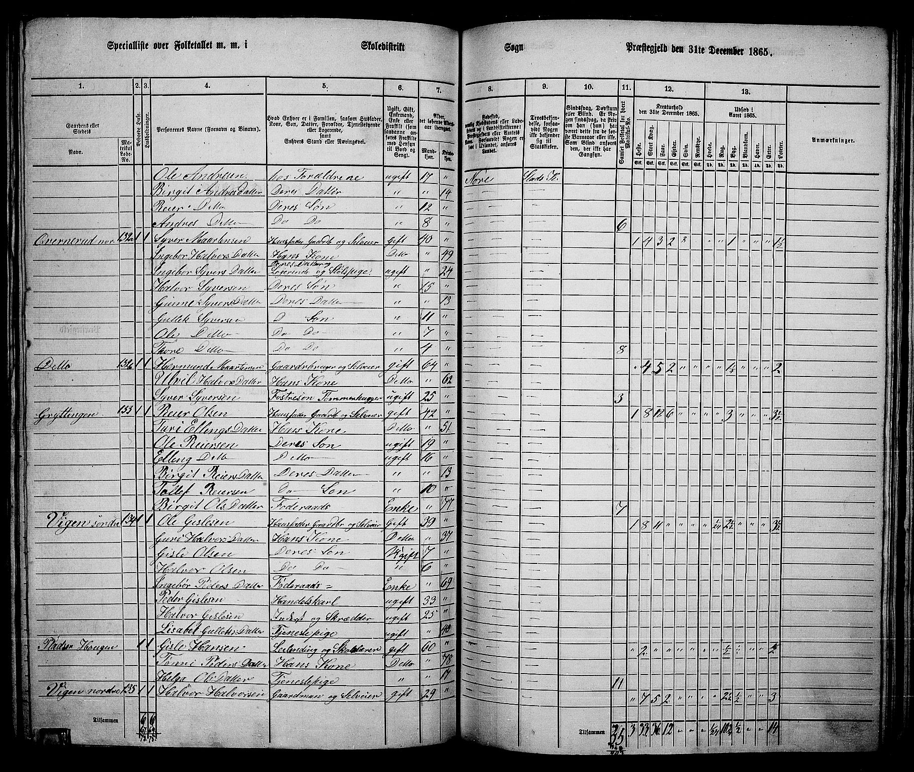 RA, 1865 census for Nore, 1865, p. 117