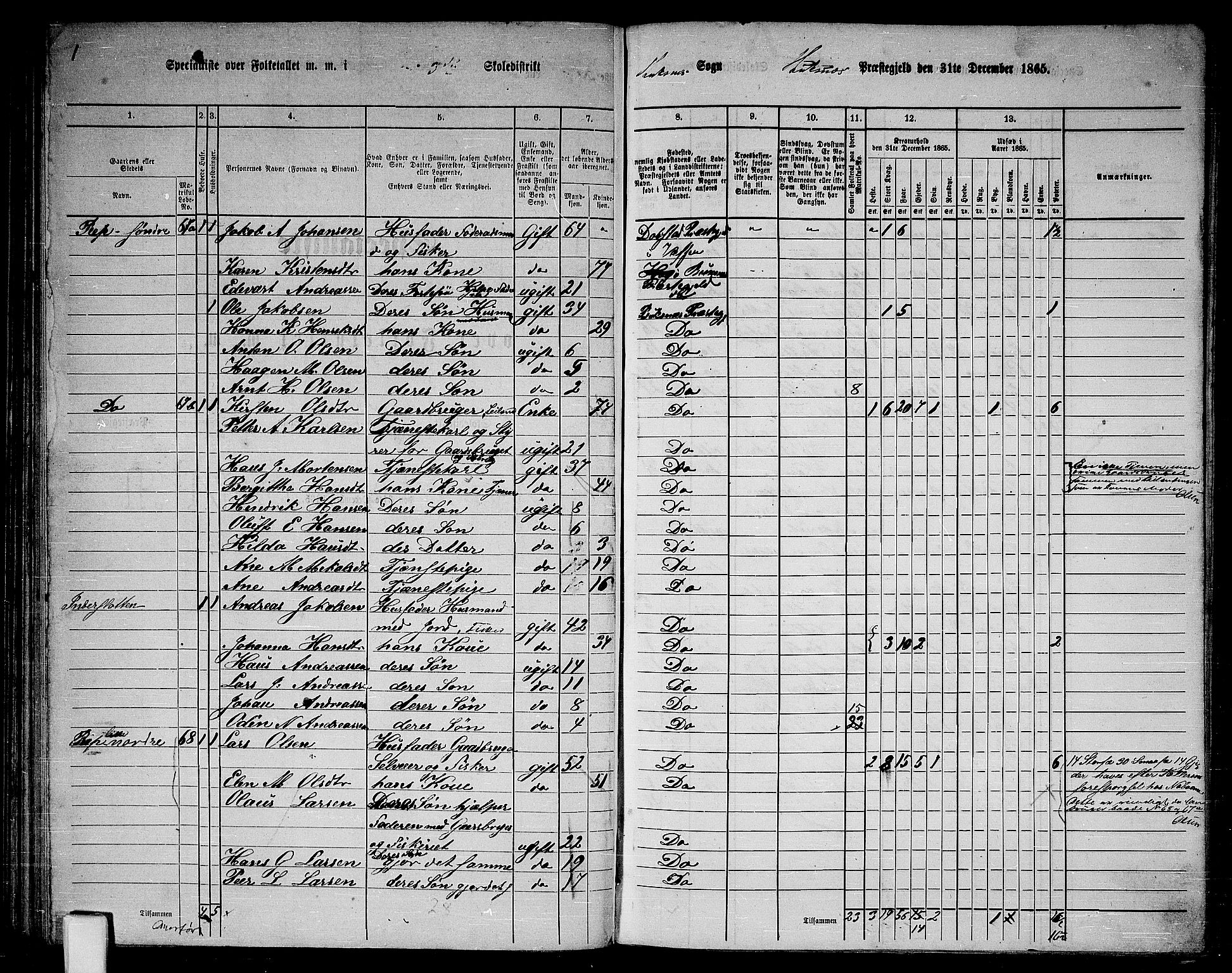 RA, 1865 census for Buksnes, 1865, p. 53