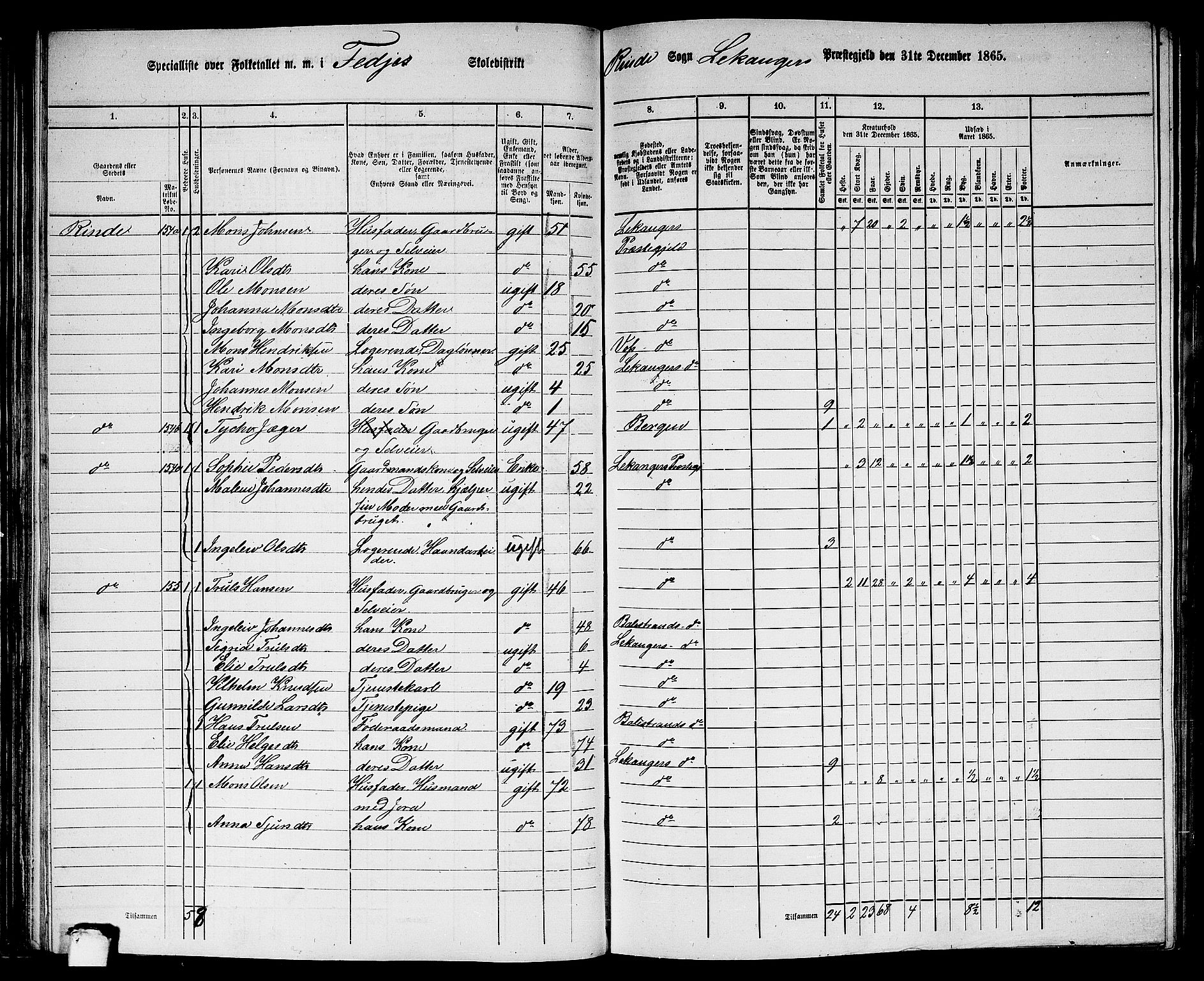 RA, 1865 census for Leikanger, 1865, p. 62