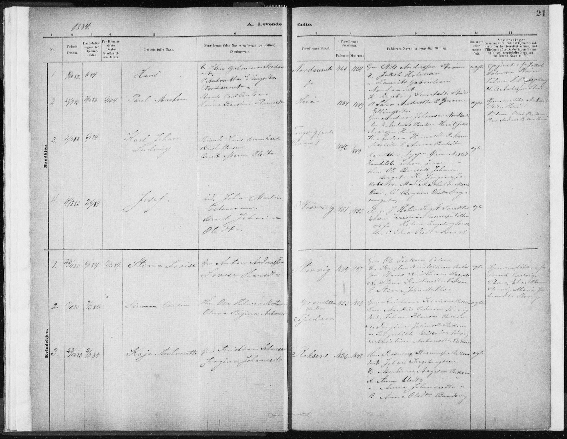 Ministerialprotokoller, klokkerbøker og fødselsregistre - Sør-Trøndelag, SAT/A-1456/637/L0558: Parish register (official) no. 637A01, 1882-1899, p. 21