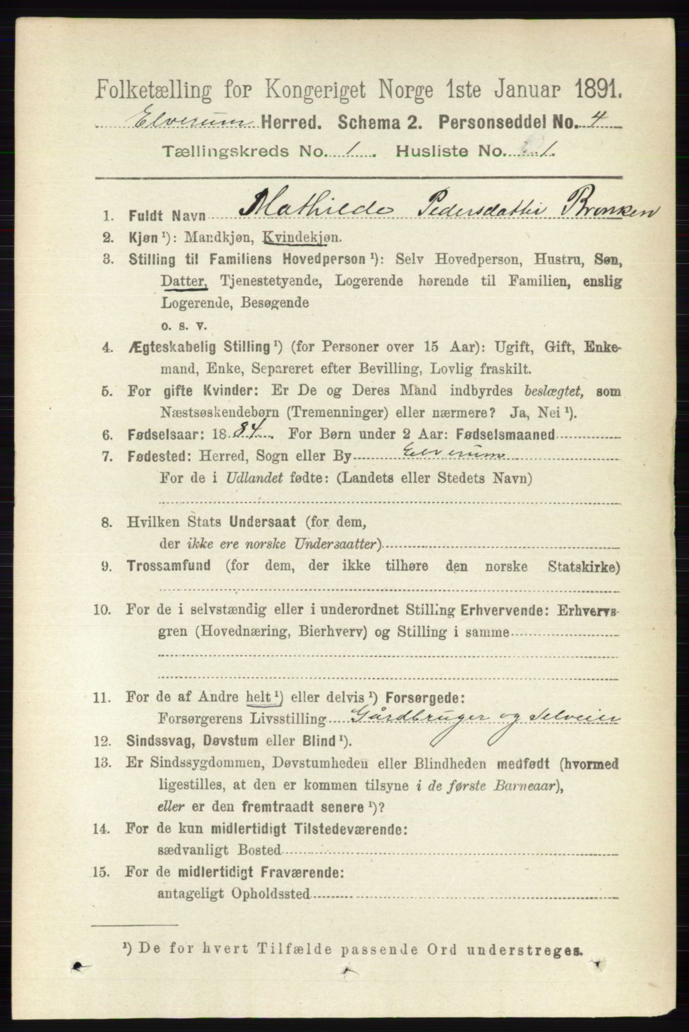 RA, 1891 census for 0427 Elverum, 1891, p. 206