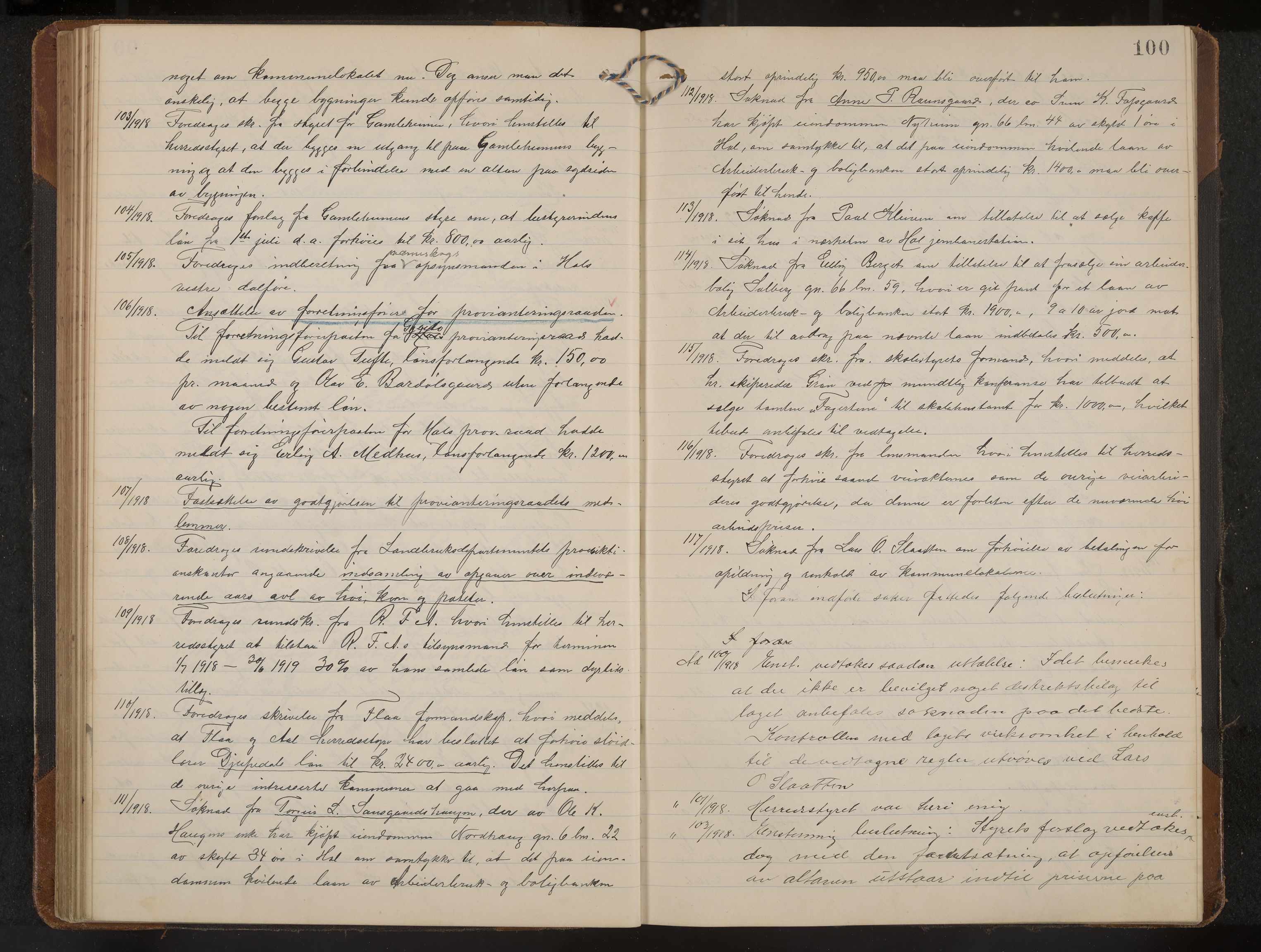 Hol formannskap og sentraladministrasjon, IKAK/0620021-1/A/L0006: Møtebok, 1916-1922, p. 100