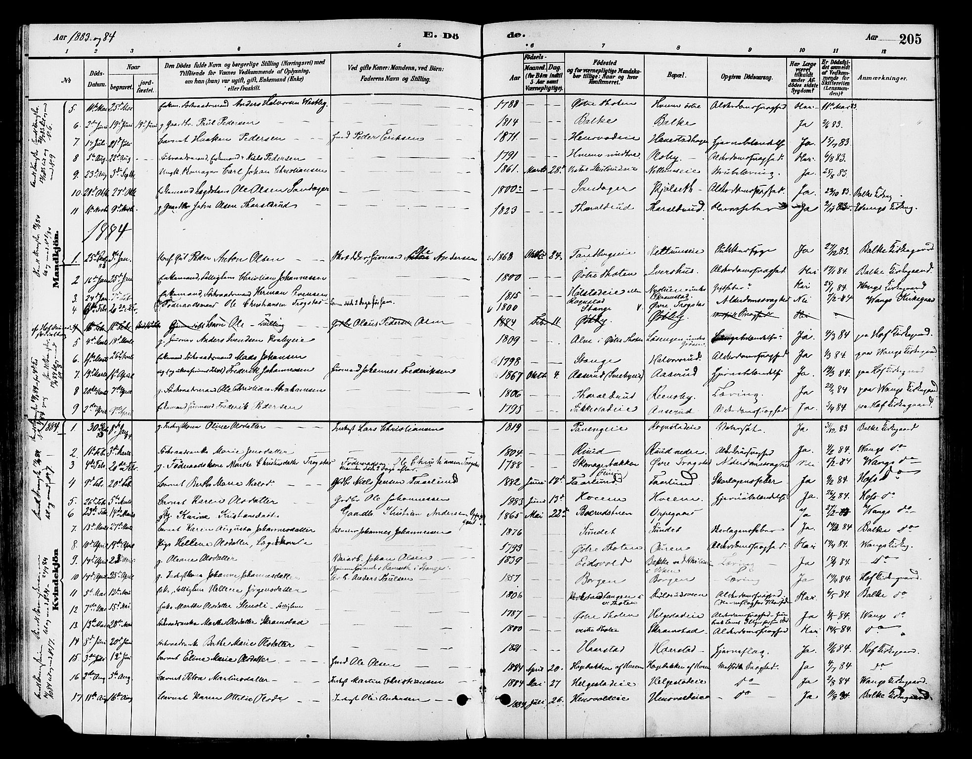 Østre Toten prestekontor, SAH/PREST-104/H/Ha/Haa/L0007: Parish register (official) no. 7, 1881-1896, p. 205