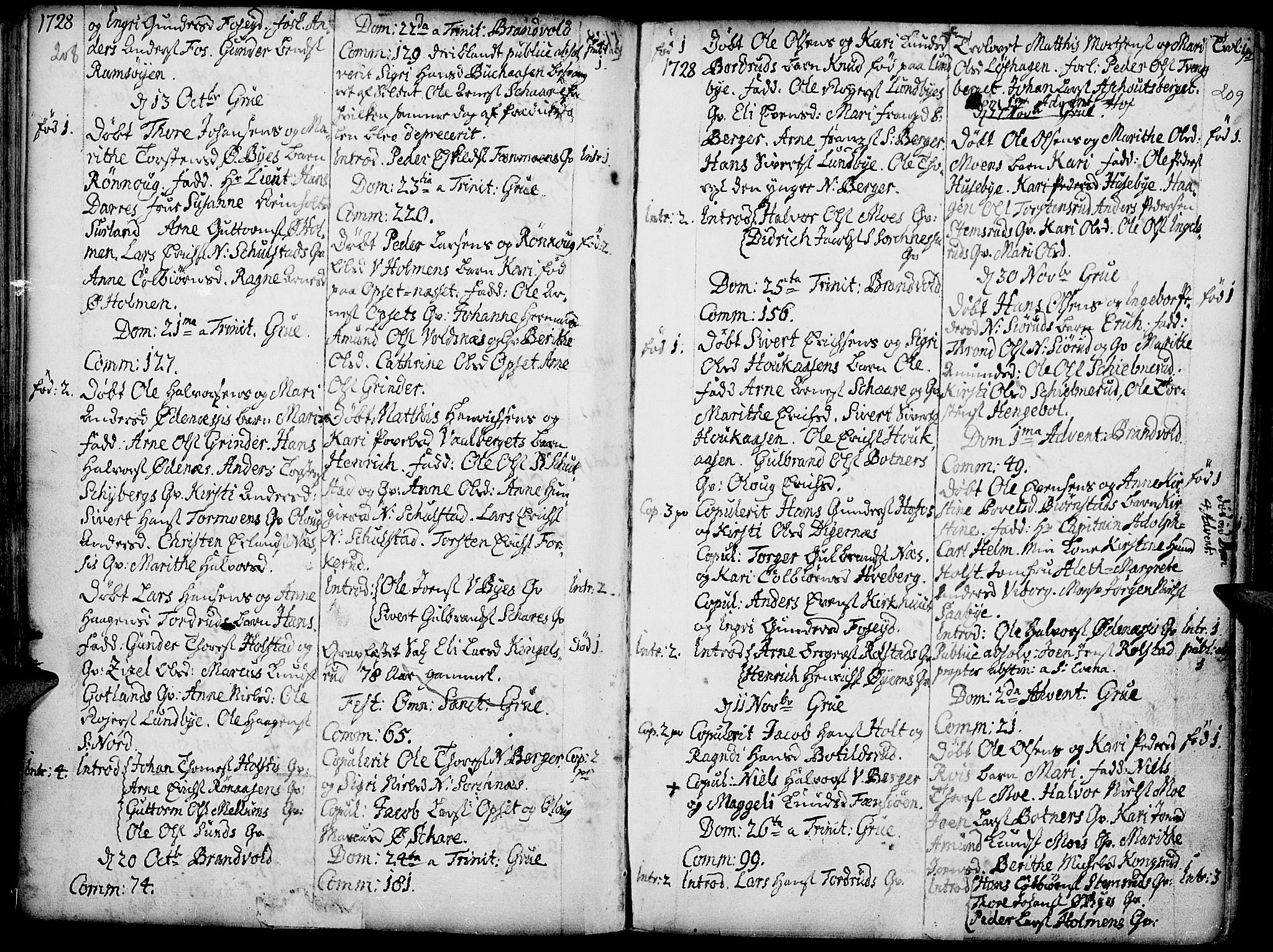 Grue prestekontor, AV/SAH-PREST-036/H/Ha/Haa/L0001: Parish register (official) no. 1, 1712-1748, p. 208-209