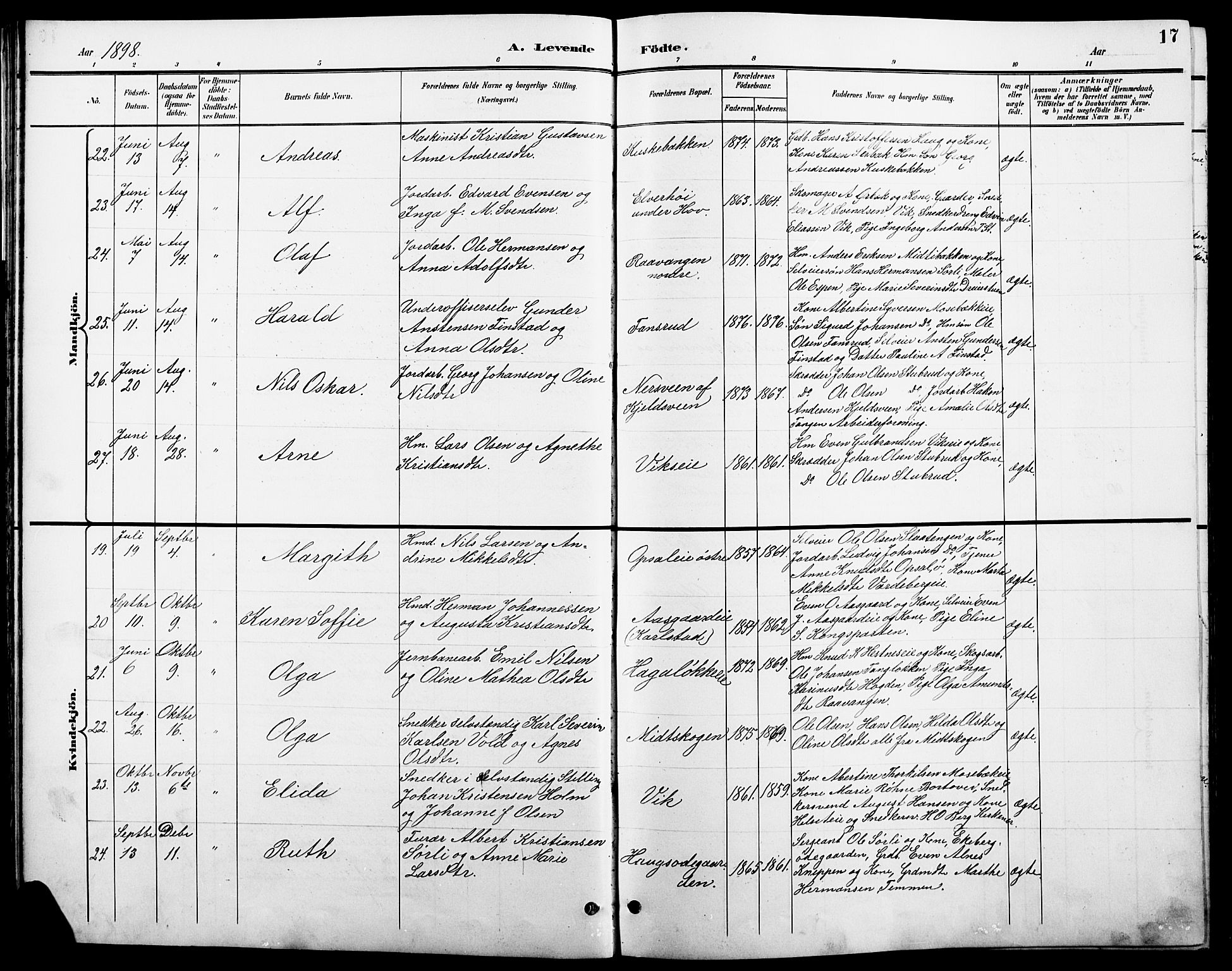 Stange prestekontor, AV/SAH-PREST-002/L/L0011: Parish register (copy) no. 11, 1895-1917, p. 17