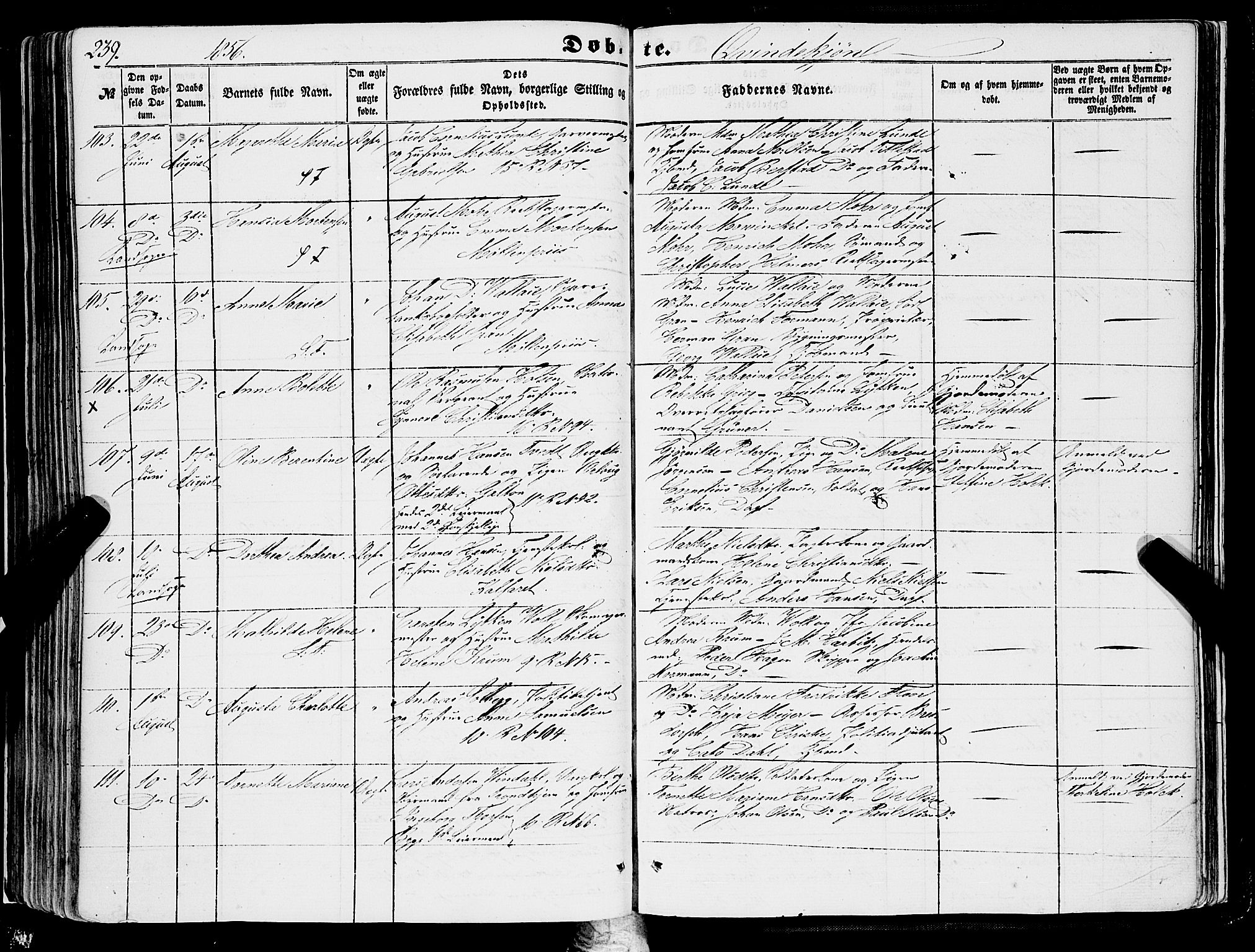 Domkirken sokneprestembete, SAB/A-74801/H/Haa/L0020: Parish register (official) no. B 3, 1851-1859, p. 239