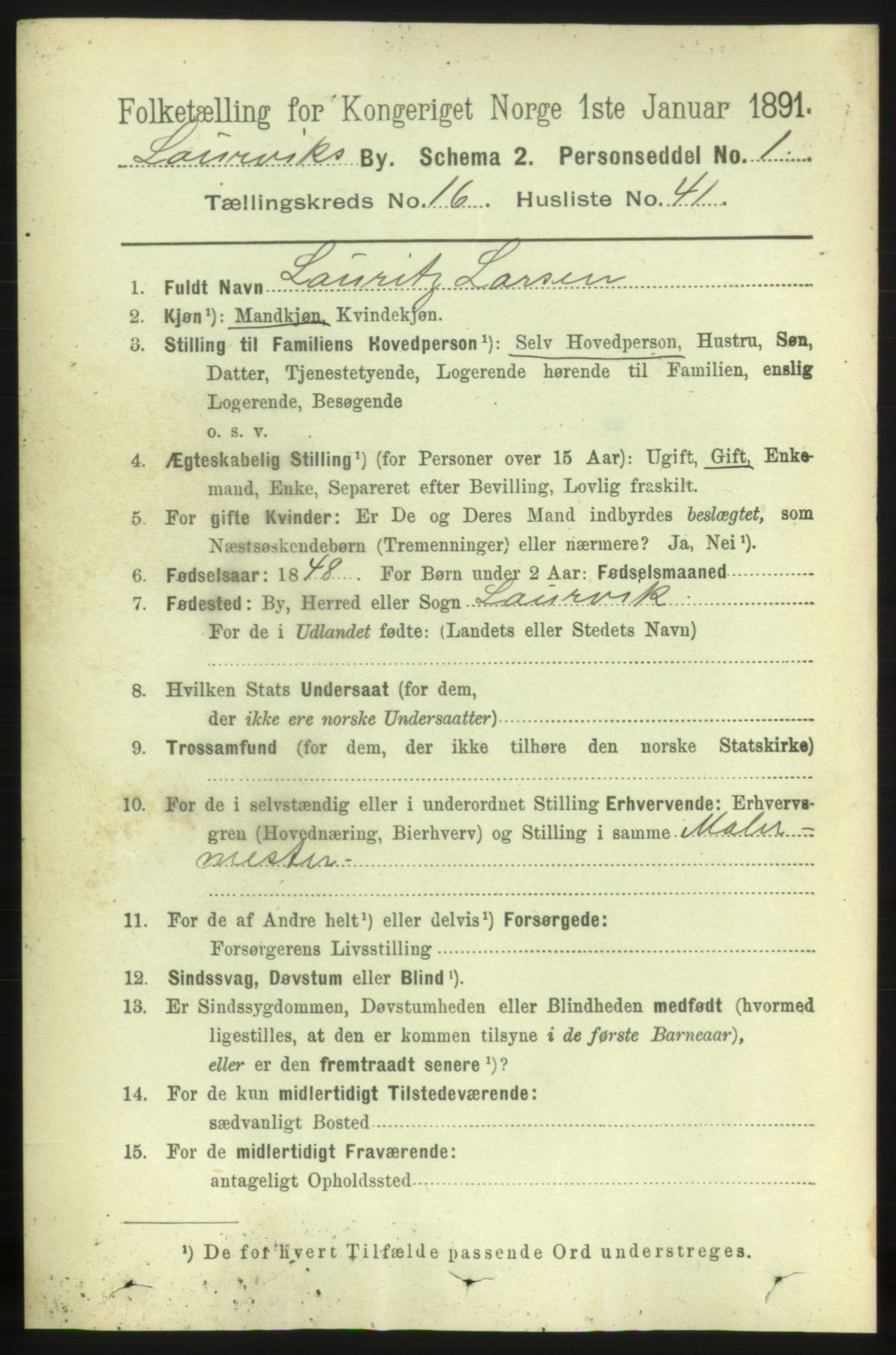 RA, 1891 census for 0707 Larvik, 1891, p. 11996