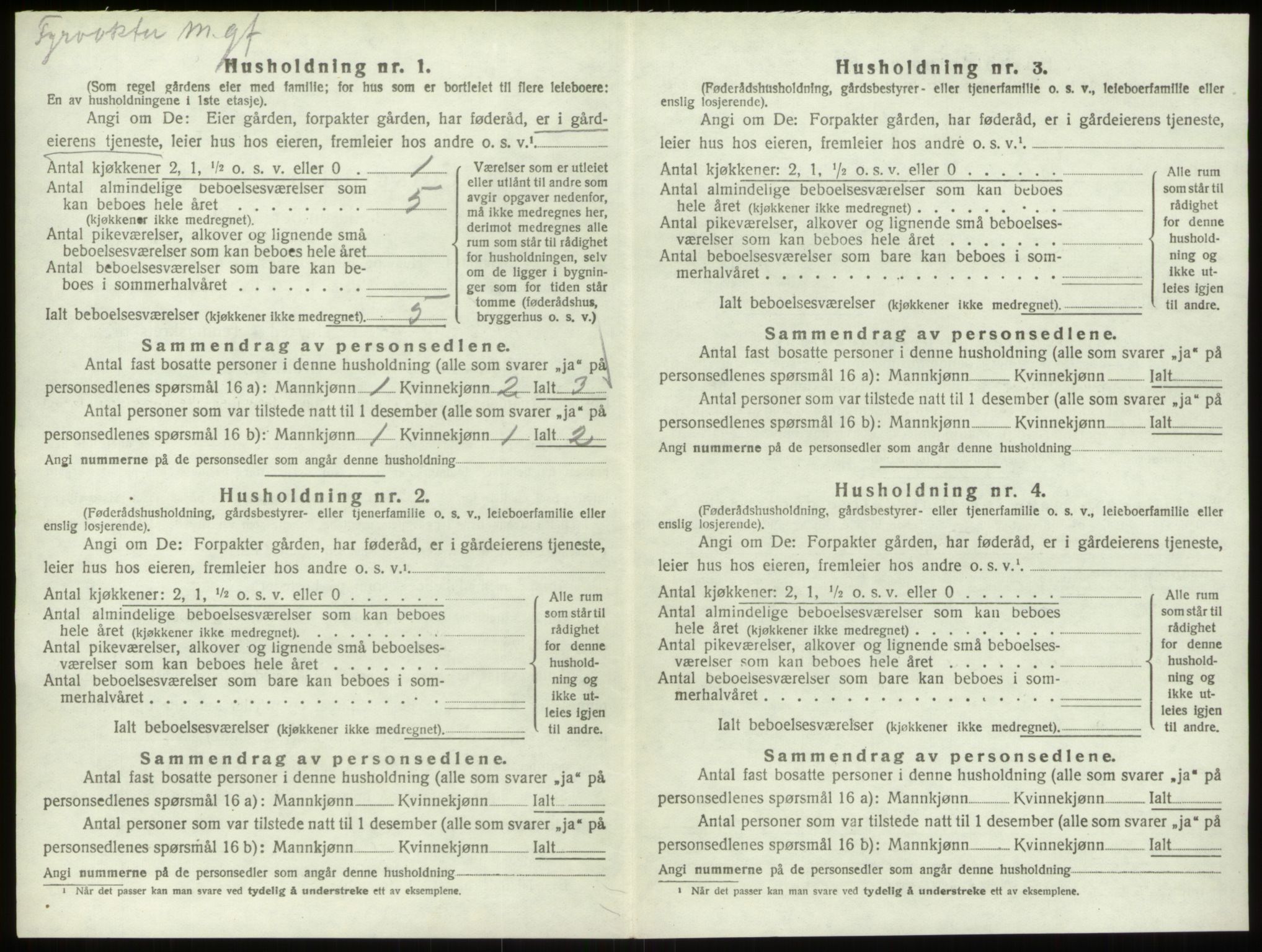 SAO, 1920 census for Hvaler, 1920, p. 381