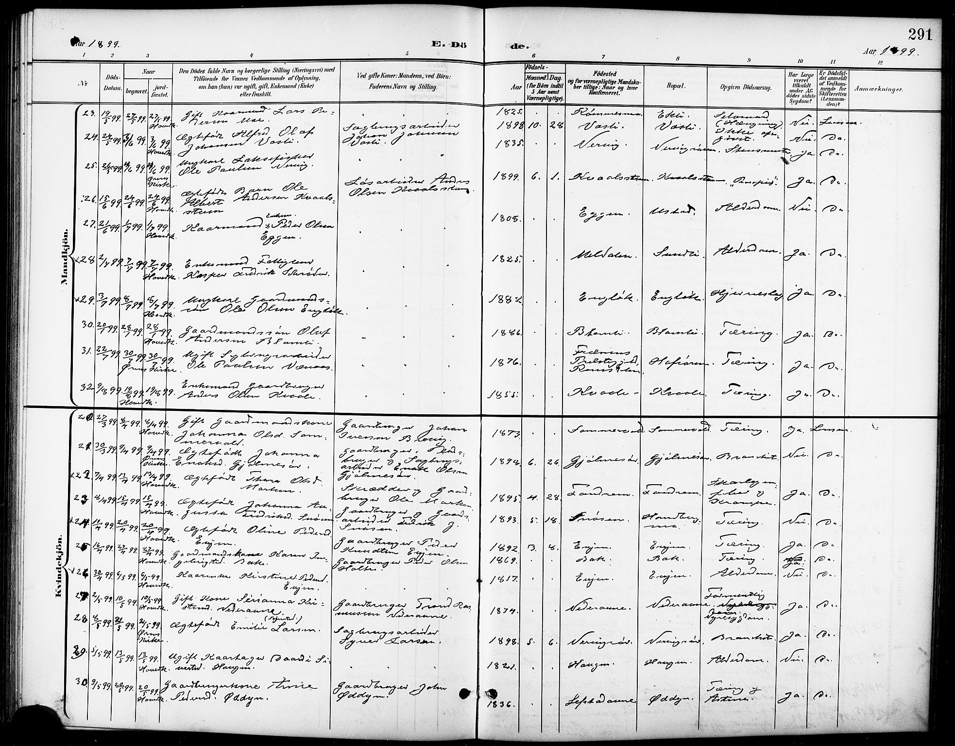 Ministerialprotokoller, klokkerbøker og fødselsregistre - Sør-Trøndelag, AV/SAT-A-1456/668/L0819: Parish register (copy) no. 668C08, 1899-1912, p. 291