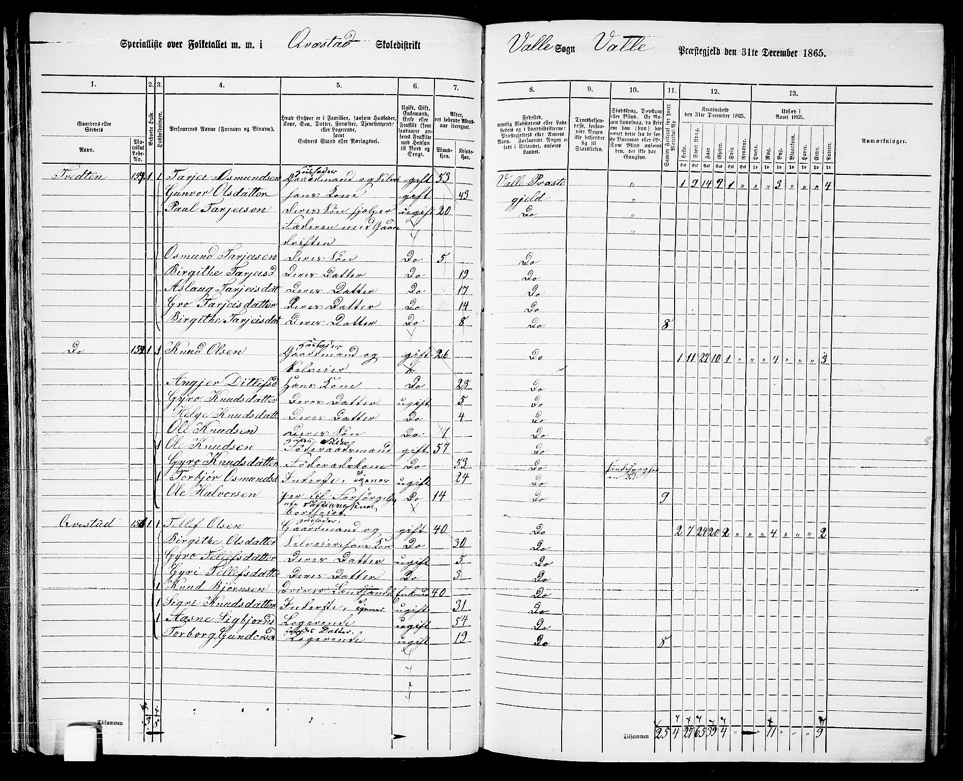 RA, 1865 census for Valle, 1865, p. 41