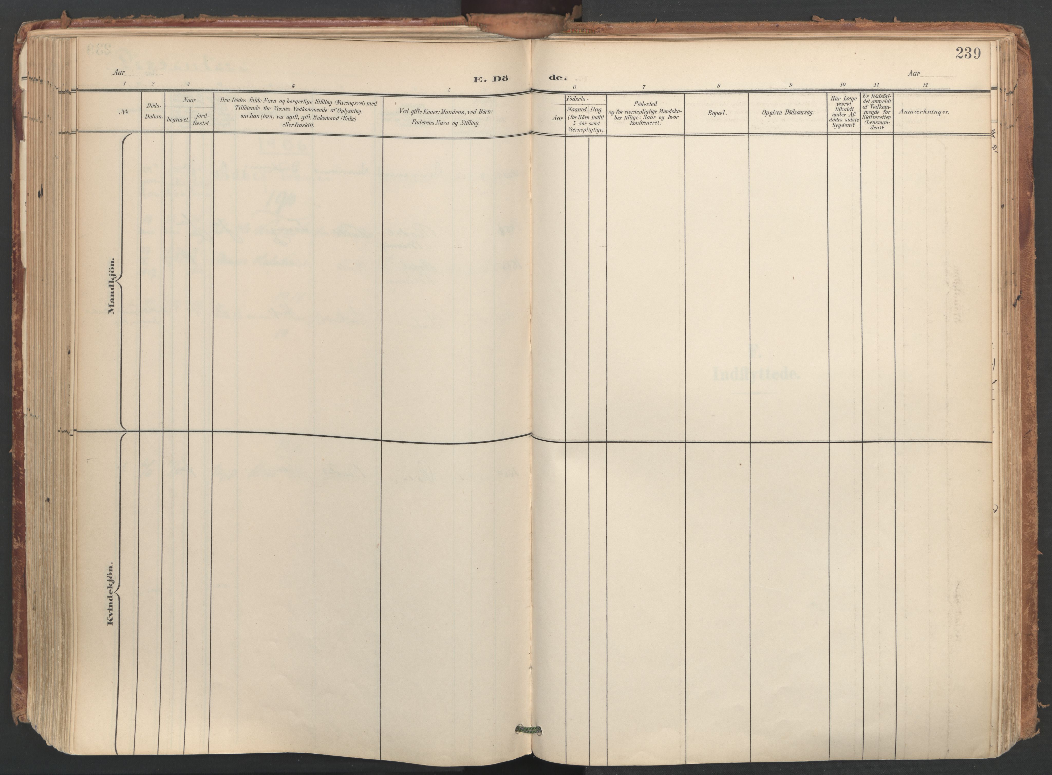 Ministerialprotokoller, klokkerbøker og fødselsregistre - Nordland, AV/SAT-A-1459/812/L0180: Parish register (official) no. 812A09, 1901-1915, p. 239