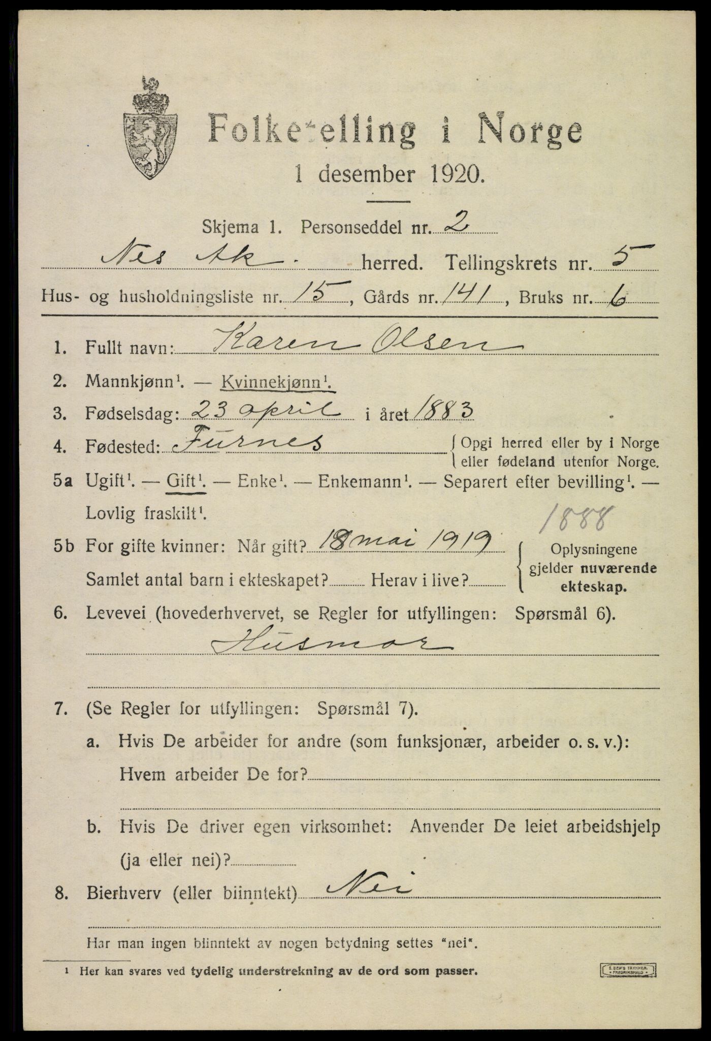 SAO, 1920 census for Nes, 1920, p. 6604