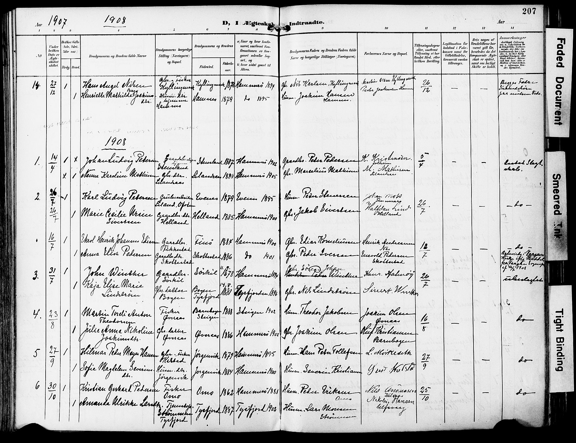 Ministerialprotokoller, klokkerbøker og fødselsregistre - Nordland, SAT/A-1459/859/L0848: Parish register (official) no. 859A08, 1900-1912, p. 207