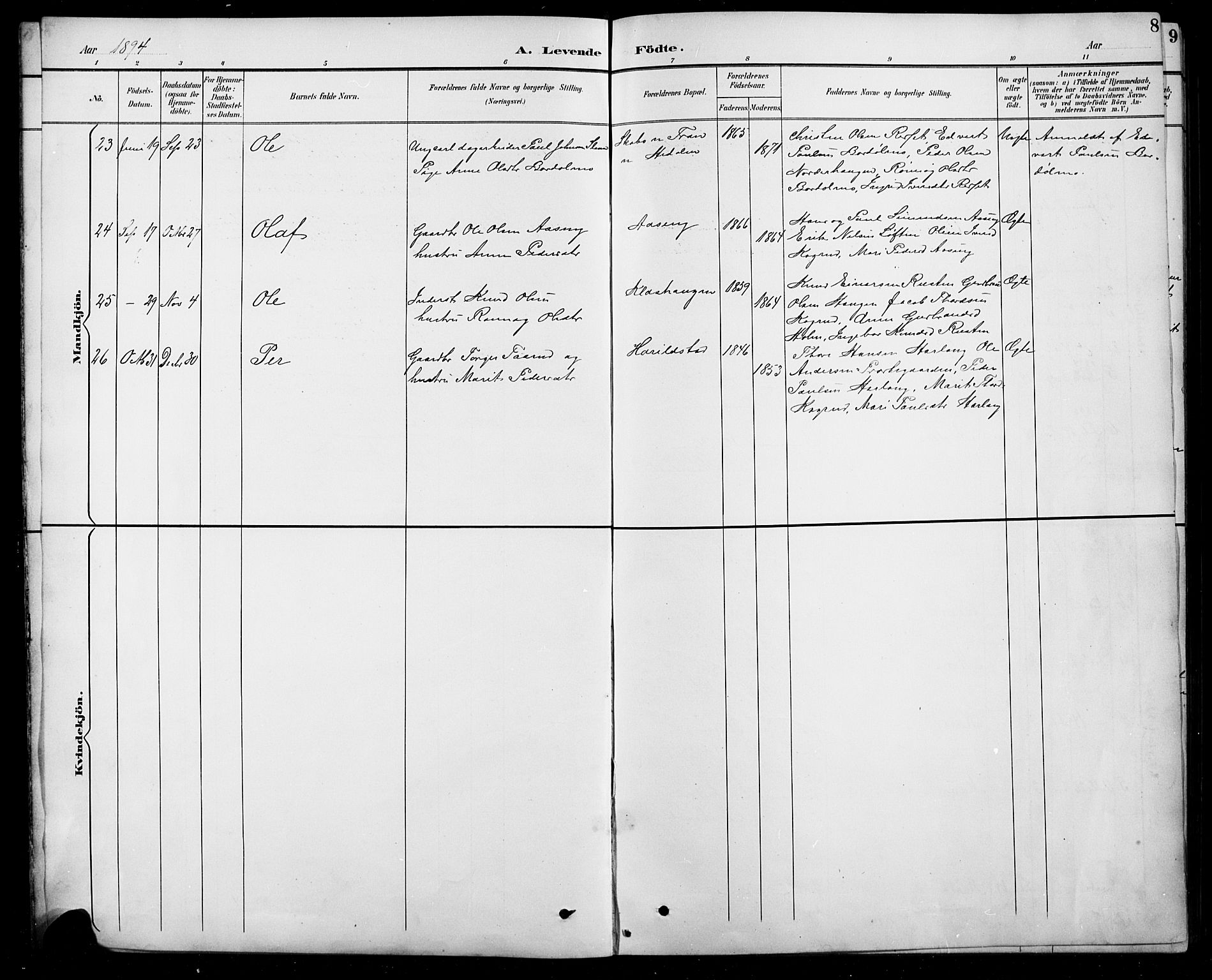 Sel prestekontor, SAH/PREST-074/H/Ha/Hab/L0005: Parish register (copy) no. 5, 1894-1923, p. 8