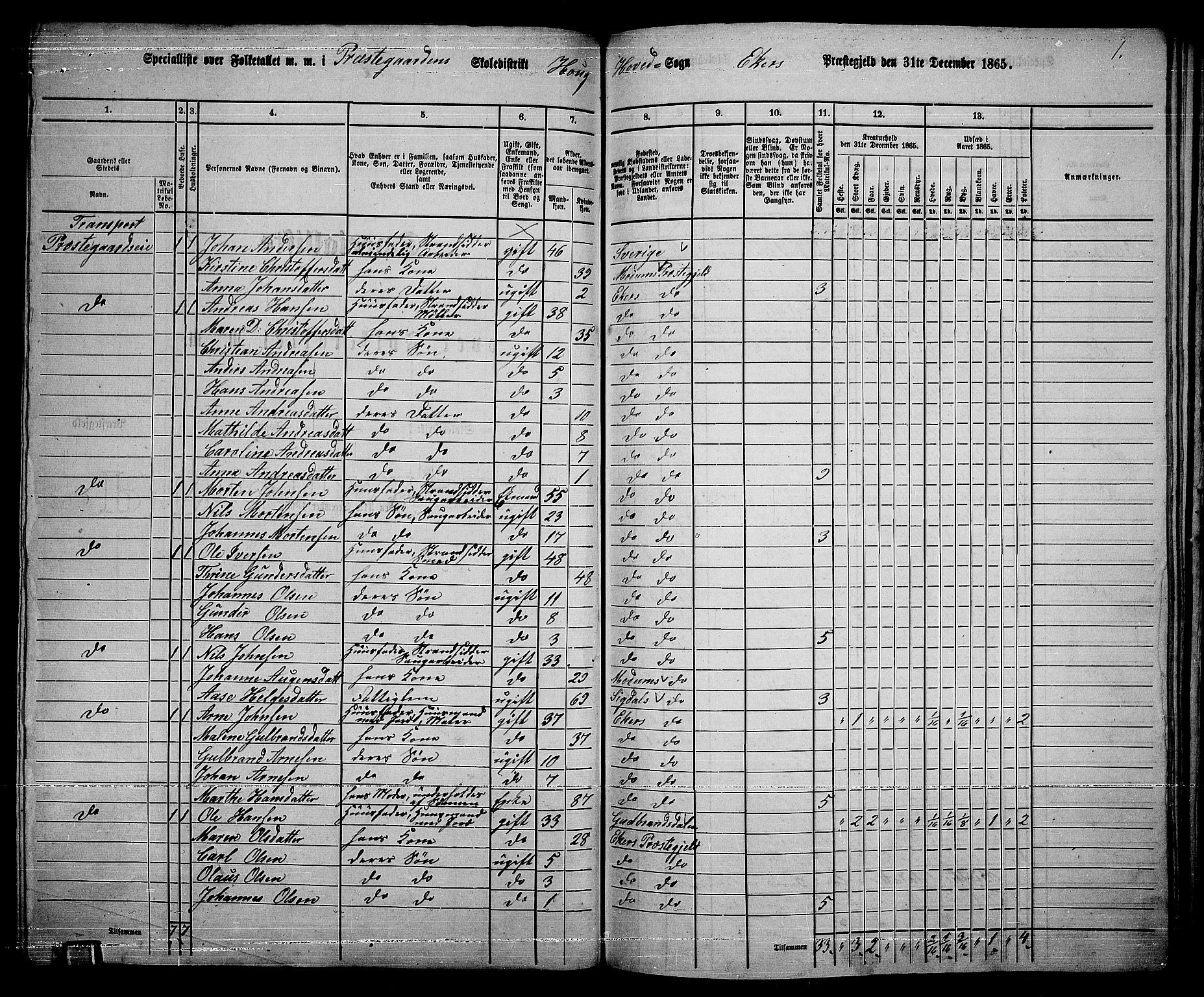 RA, 1865 census for Eiker, 1865, p. 186