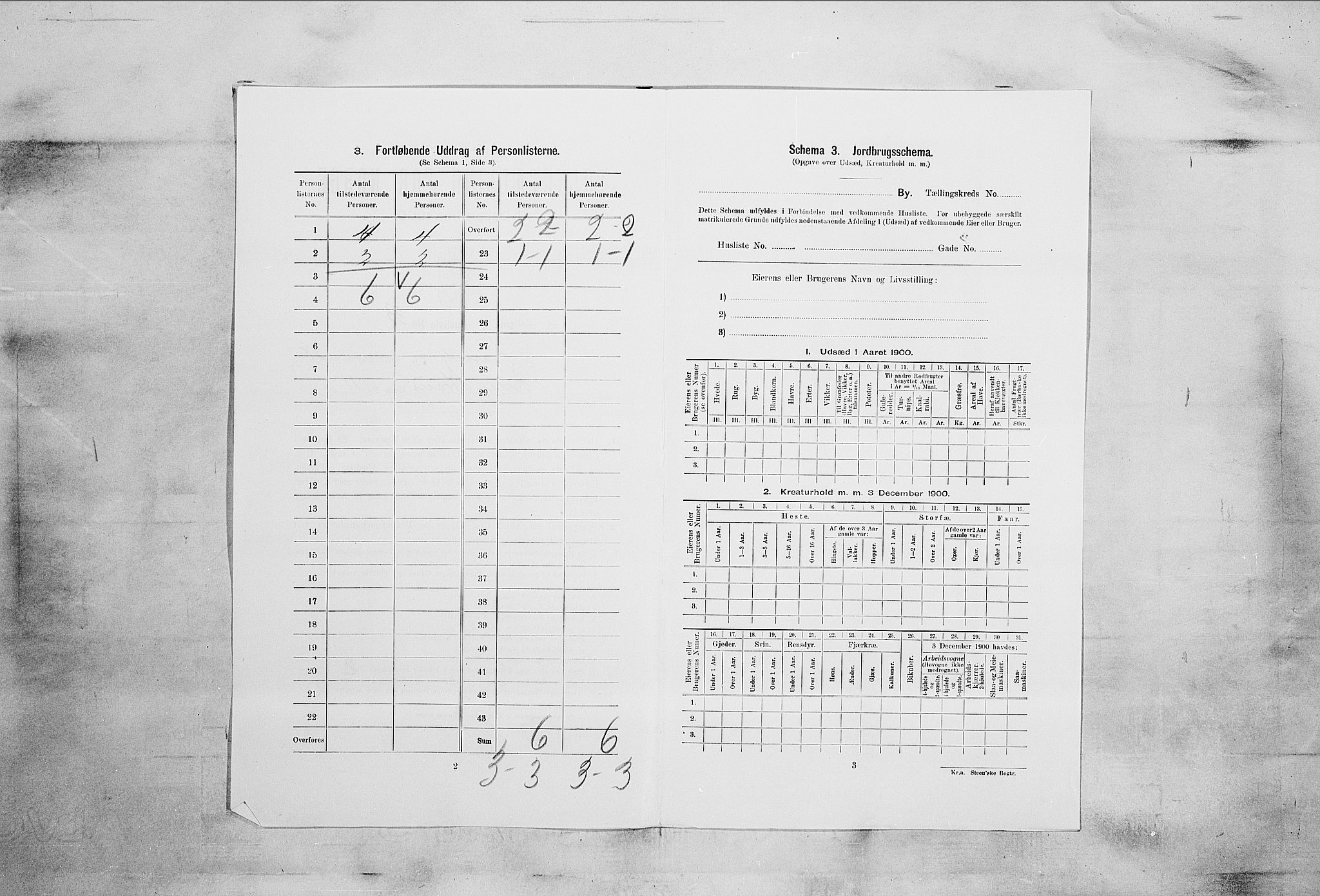 RA, 1900 census for Larvik, 1900, p. 5183