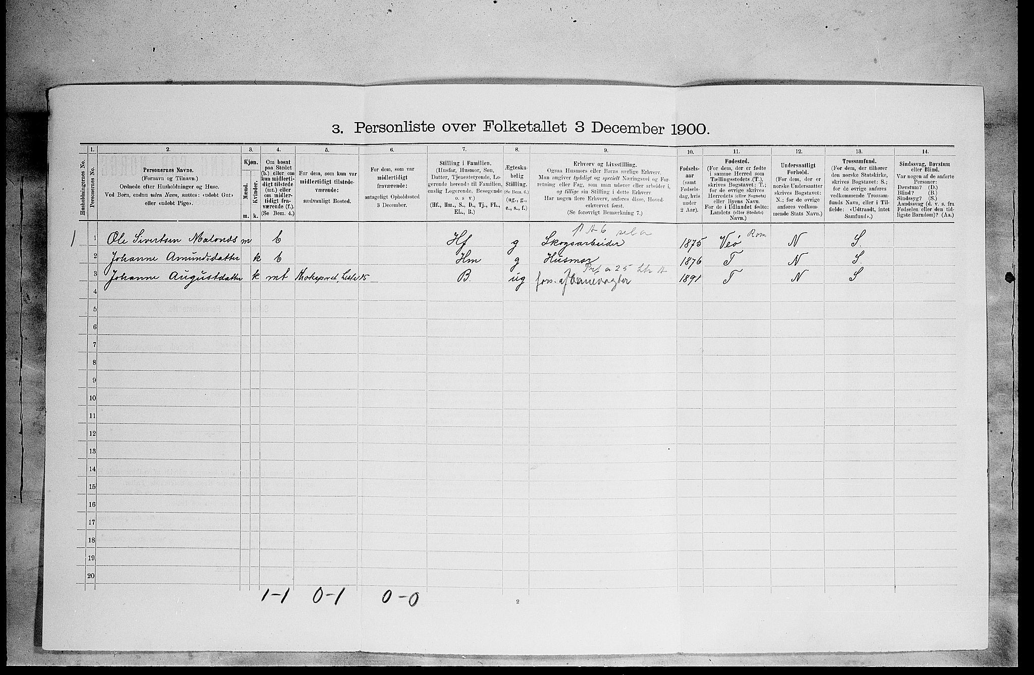 SAH, 1900 census for Stor-Elvdal, 1900, p. 295