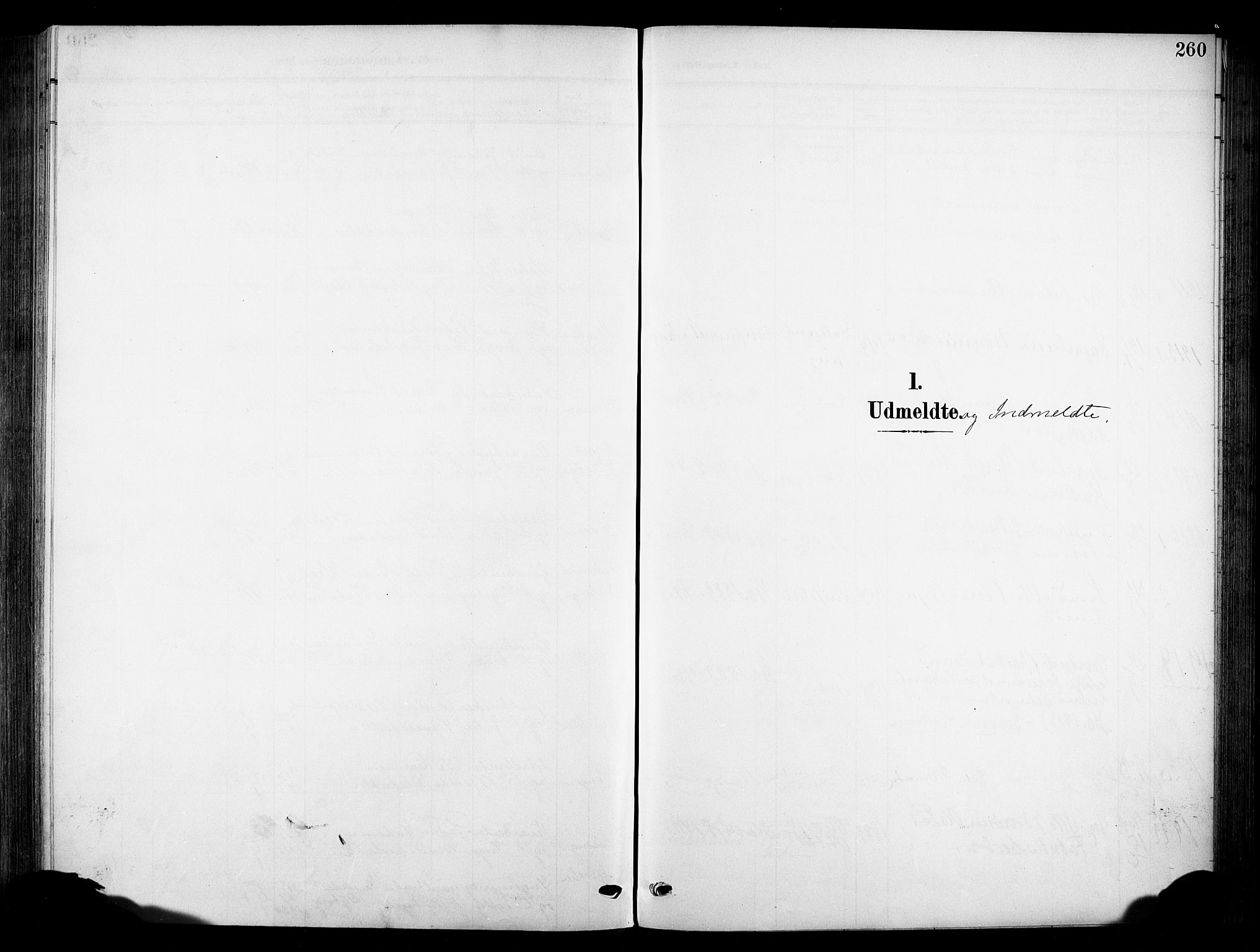 Nes prestekontor, Hedmark, SAH/PREST-020/K/Ka/L0014: Parish register (official) no. 14, 1906-1929, p. 260